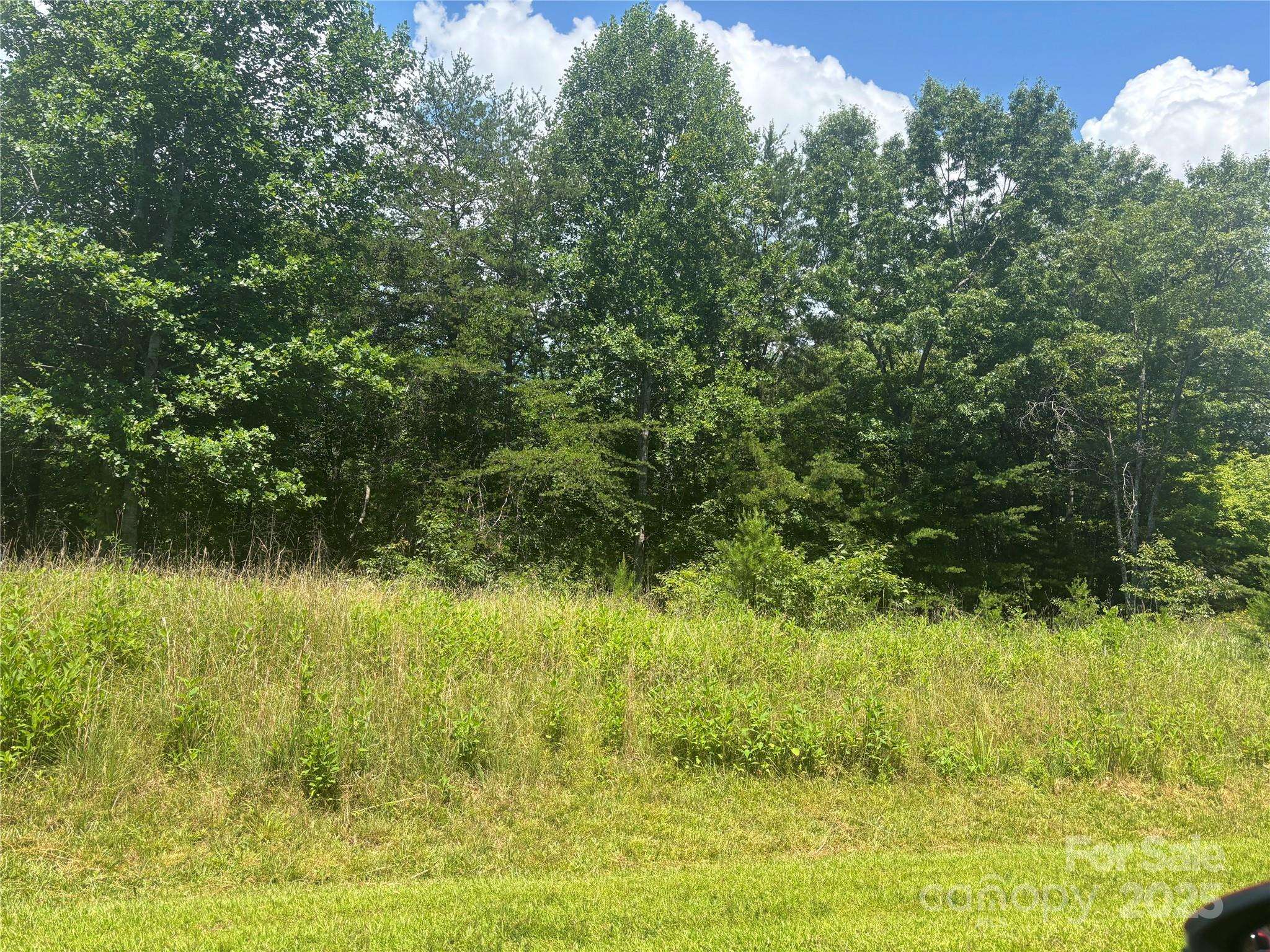 Mill Spring, NC 28756,28 Fallen Tree LN