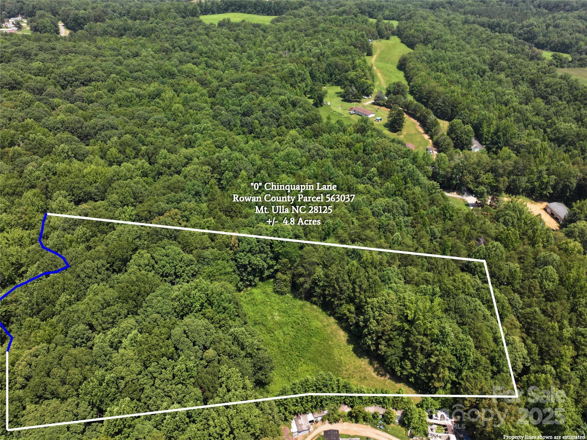 Mt Ulla, NC 28125,0 Chinquapin LN
