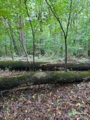 Charlotte, NC 28269,5901 Howard ST