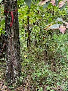 Charlotte, NC 28269,5901 Howard ST