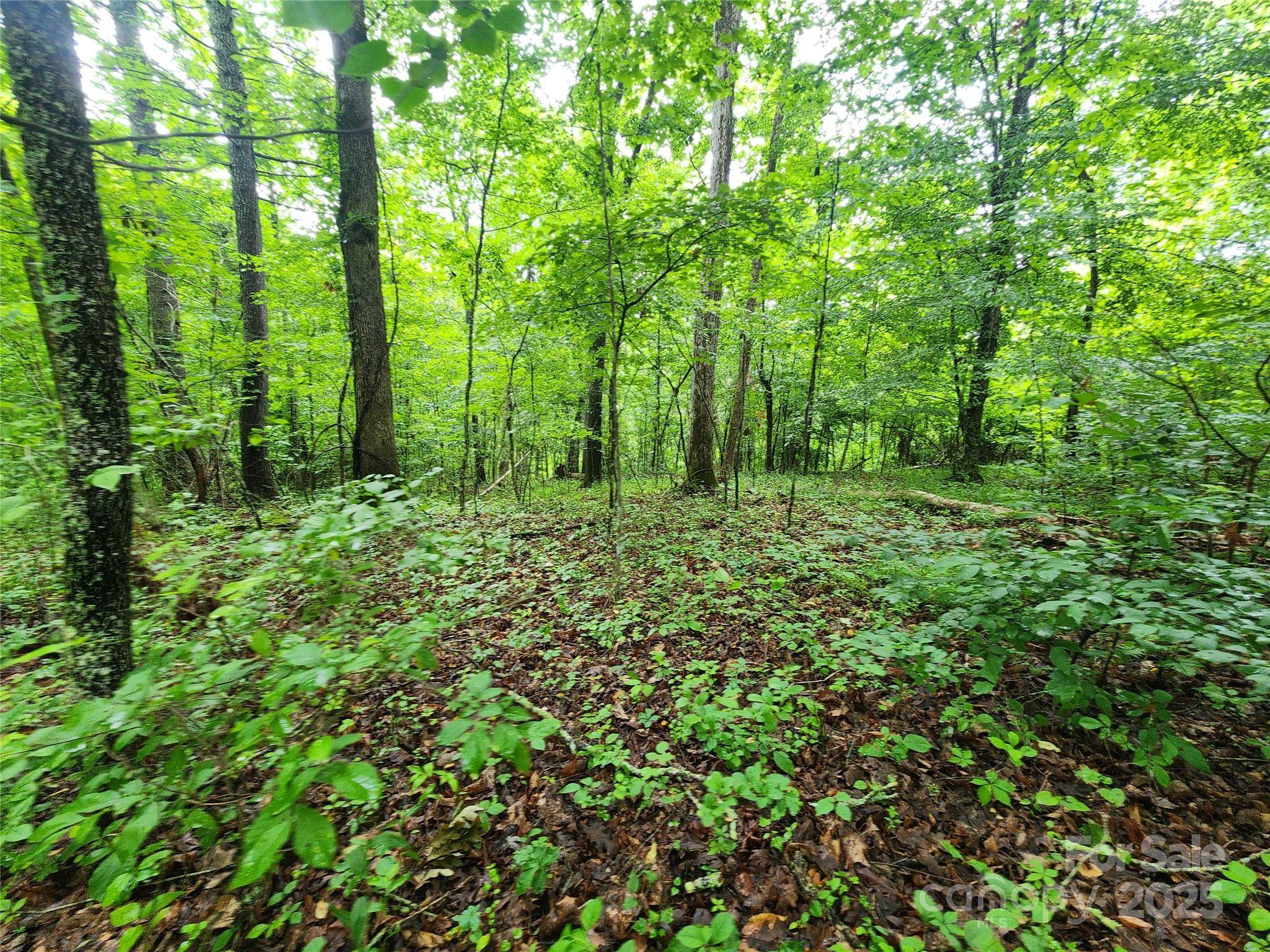 Marshall, NC 28753,9999 Henry Worley LN