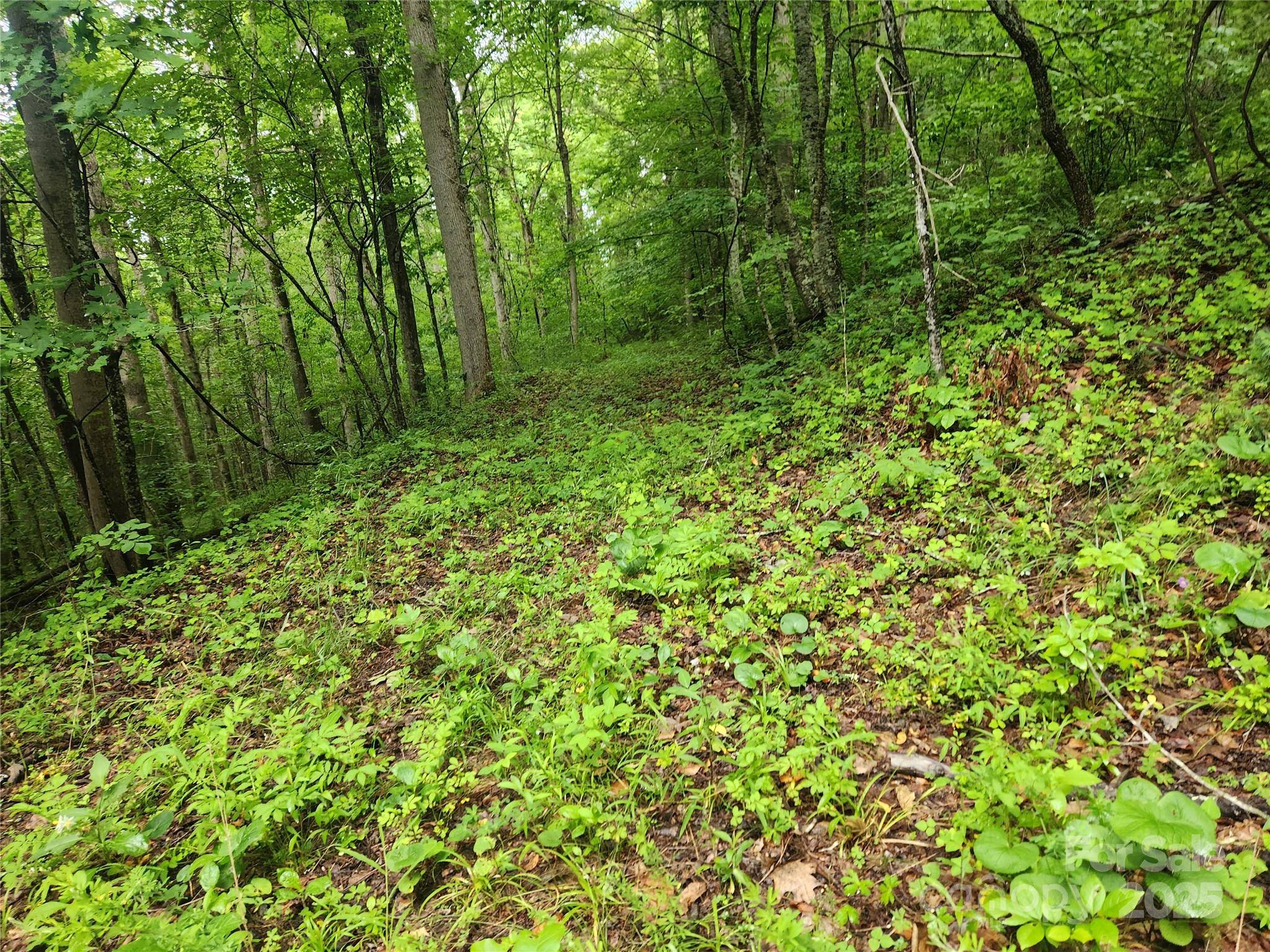 Marshall, NC 28753,9999 Henry Worley LN