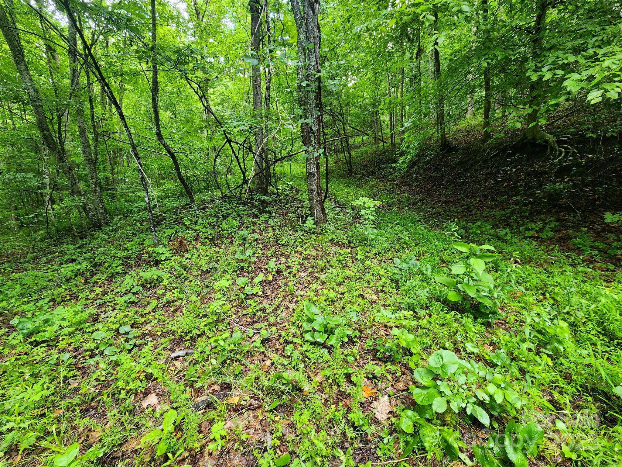 Marshall, NC 28753,9999 Henry Worley LN