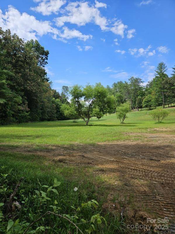 Mars Hill, NC 28754,9999 Settlers TRL #52