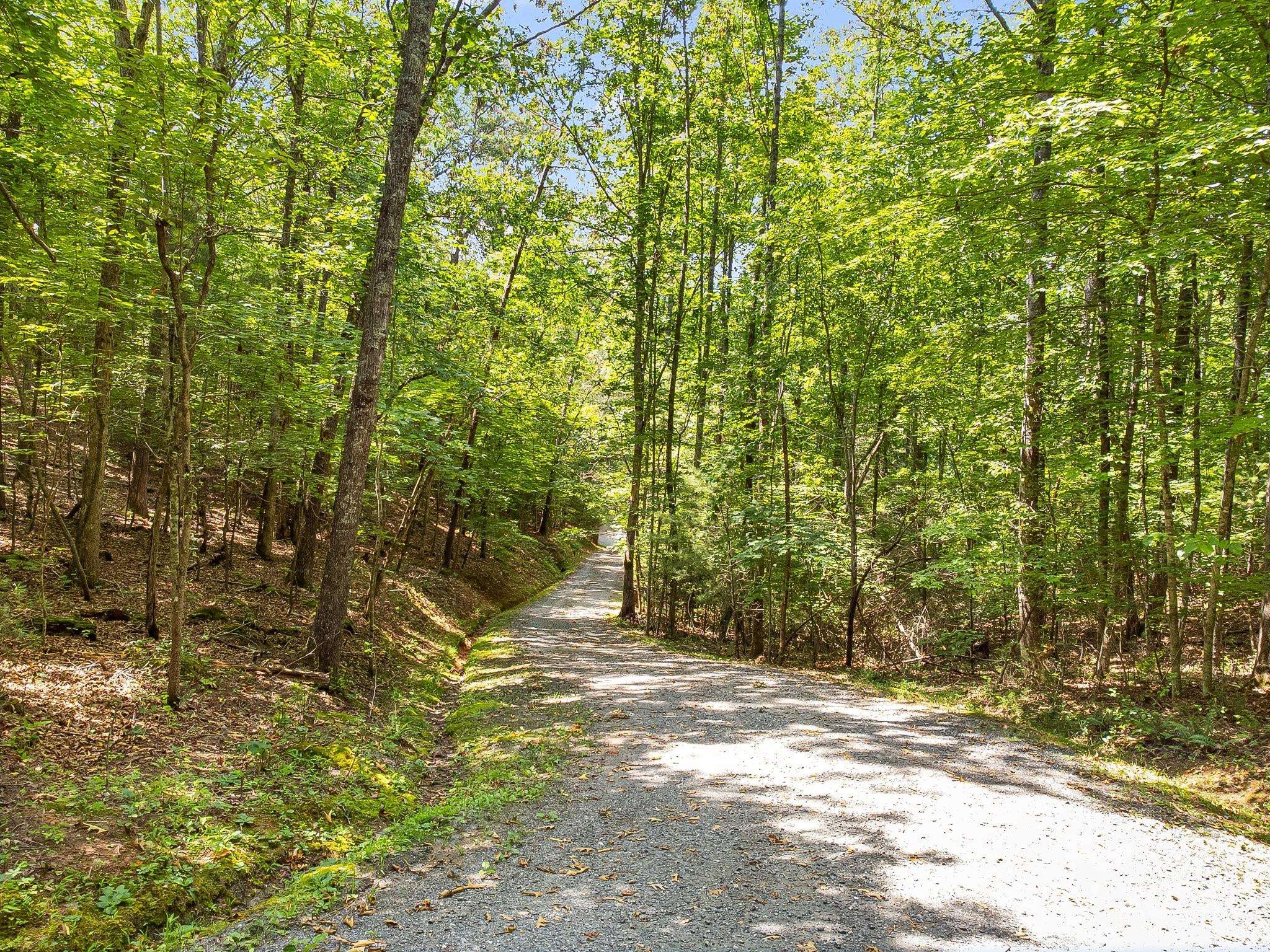 Leicester, NC 28748,99999 Rowan Hill RD