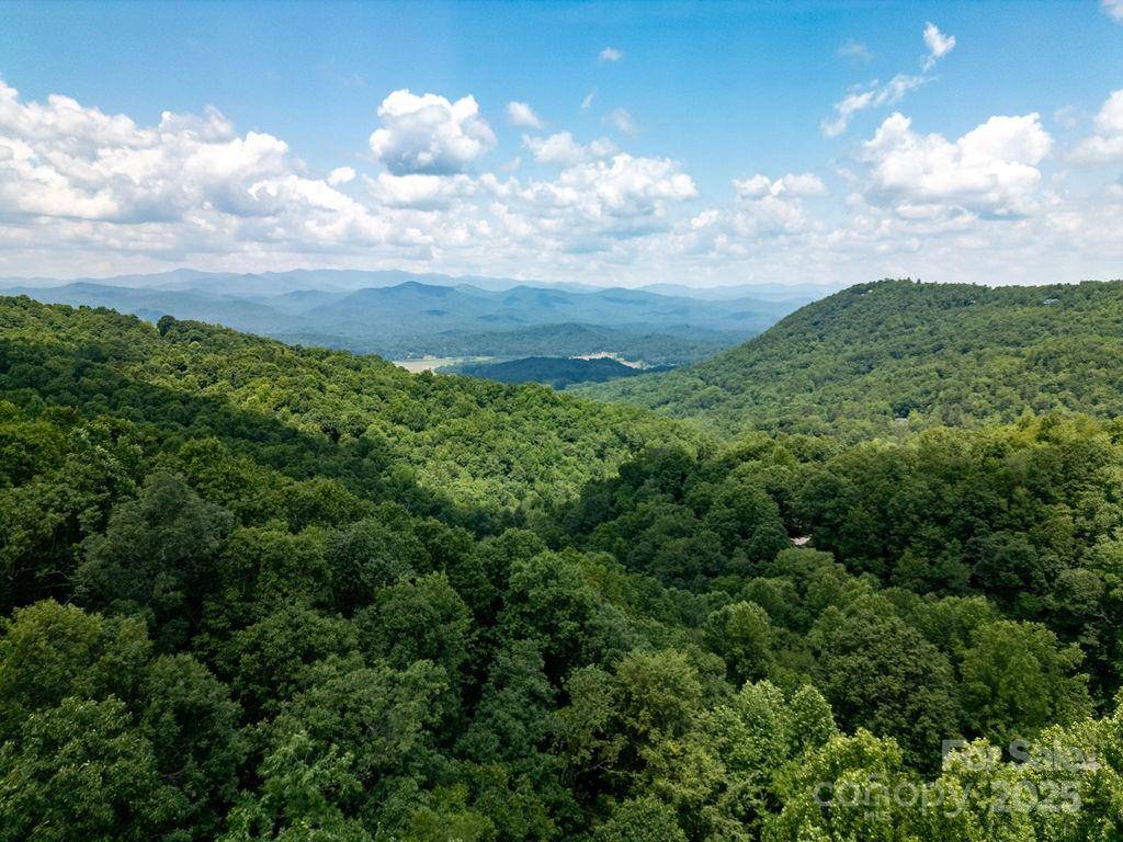 Brevard, NC 28712,216 Tinequa DR