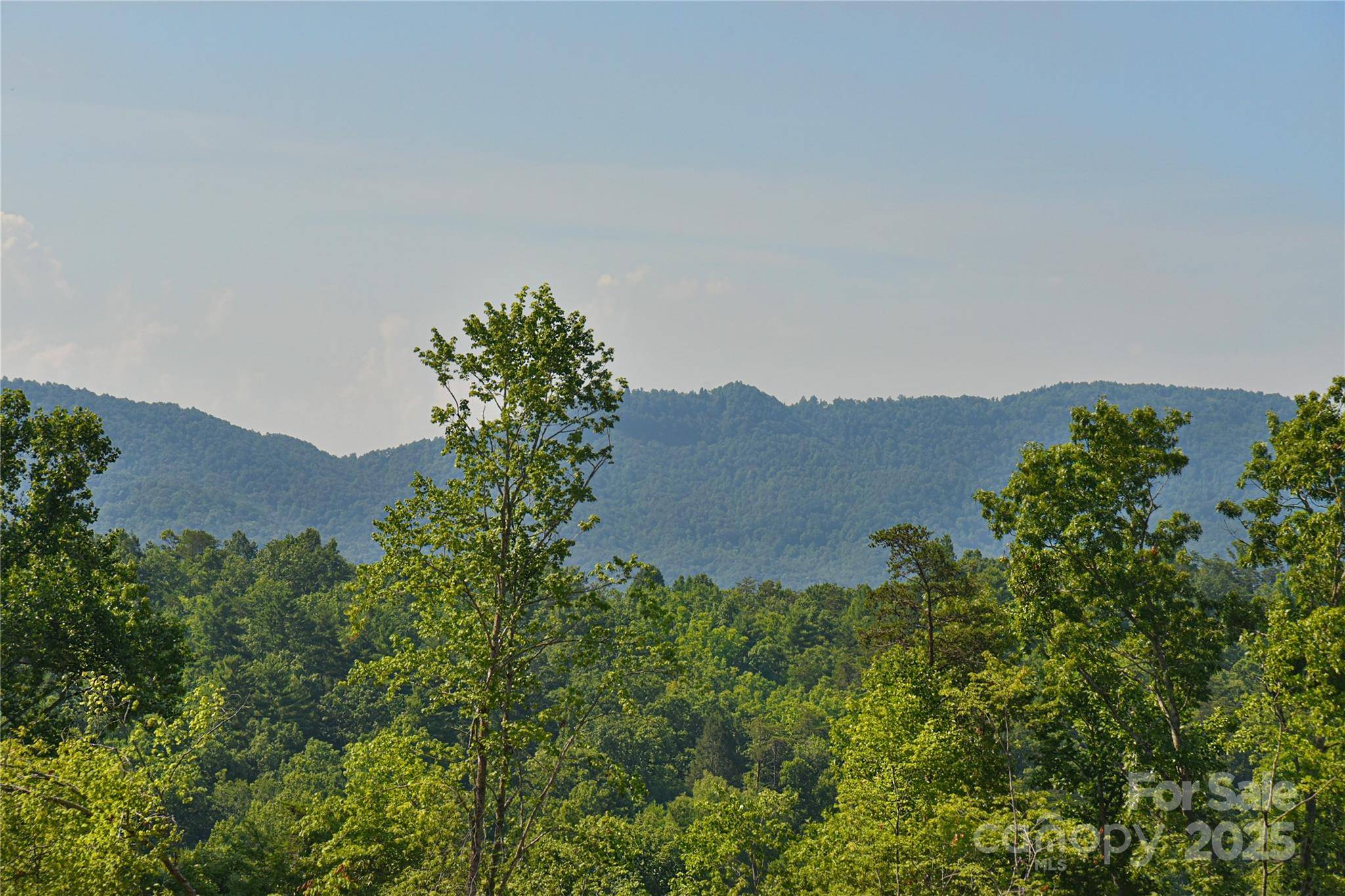 Old Fort, NC 28762,46 Honeycomb DR