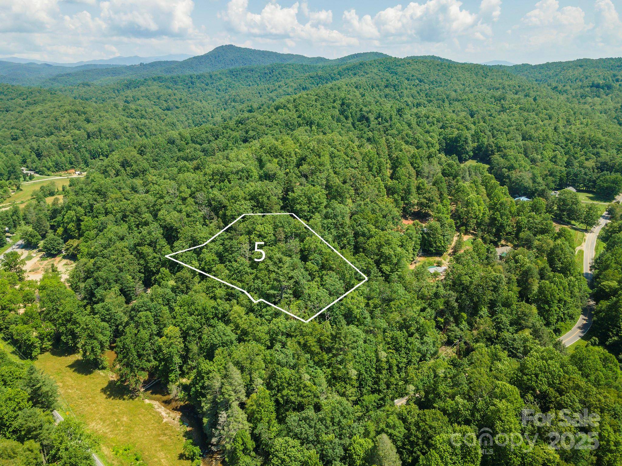Black Mountain, NC 28711,5 Roy LN
