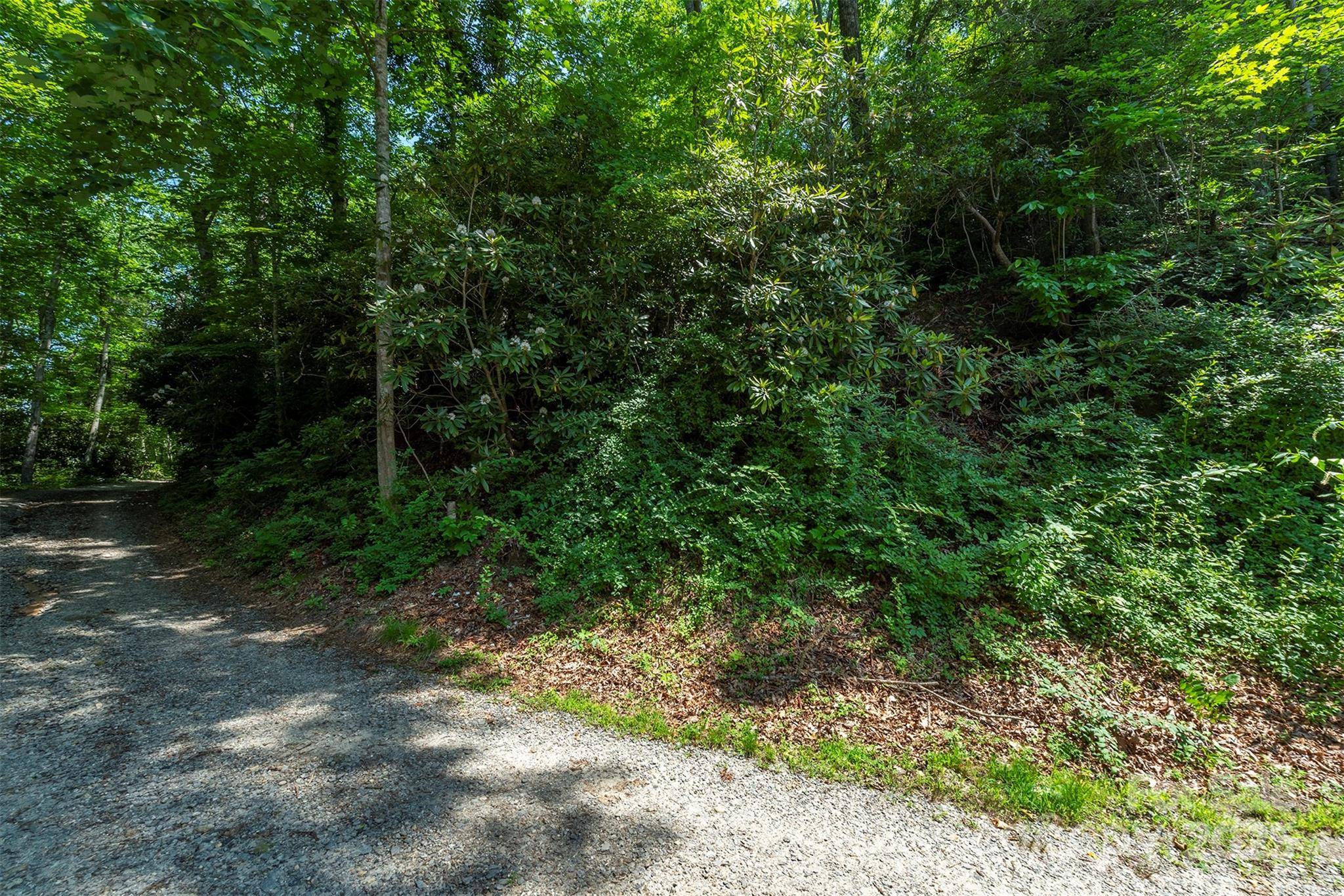 Black Mountain, NC 28711,5 Roy LN