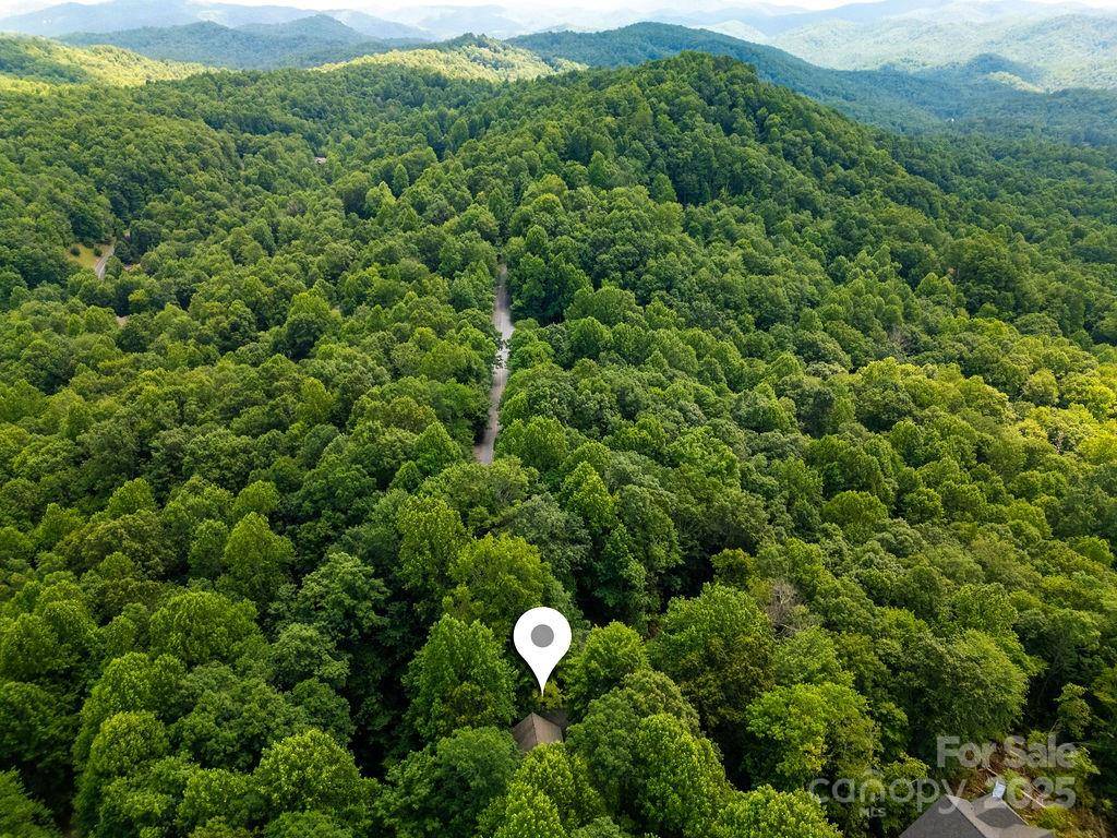 Brevard, NC 28712,2023 Connestee TRL