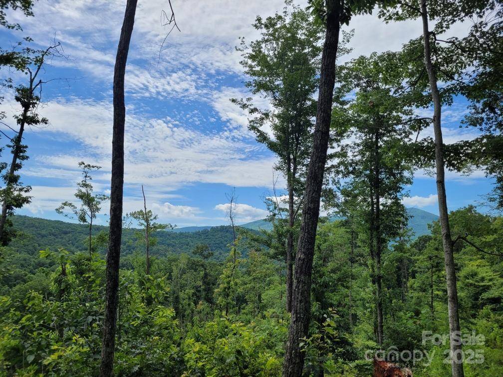 Marion, NC 28752,99999 Old Yellow Mountain RD