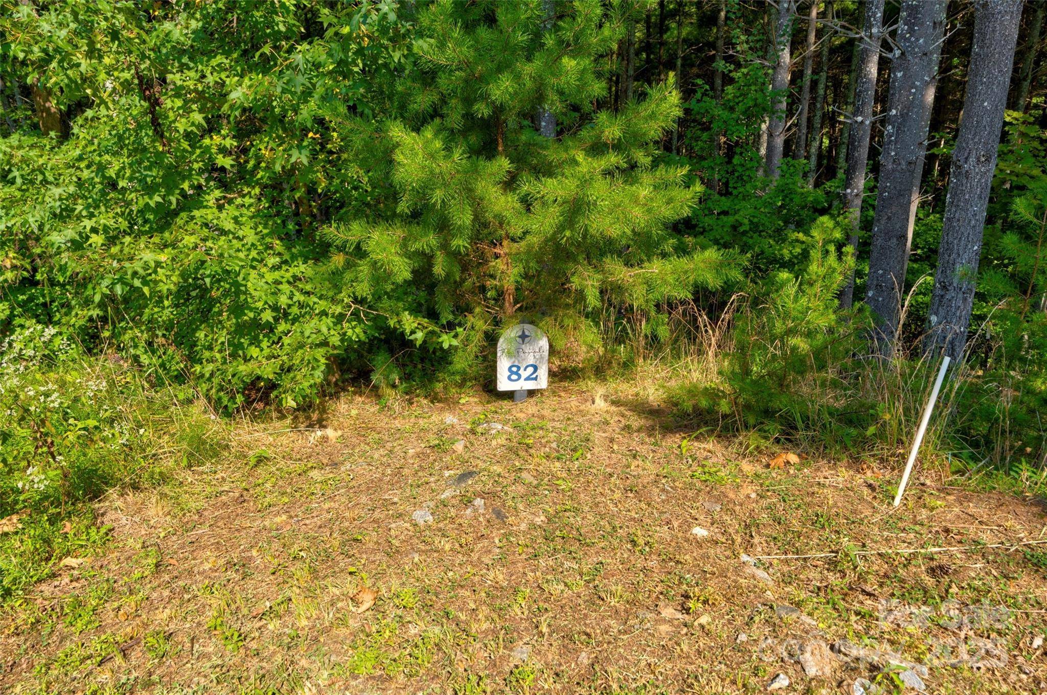 Nebo, NC 28761,77 Whispering Pines TRL #82