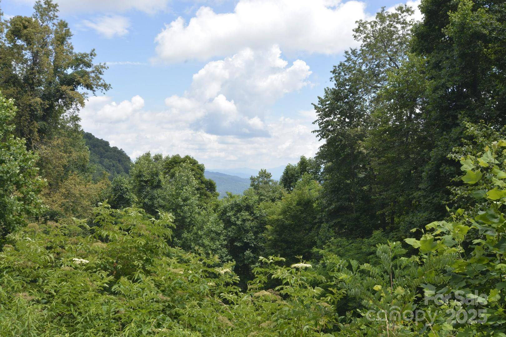 Mars Hill, NC 28754,999 Red Wolf RUN #48