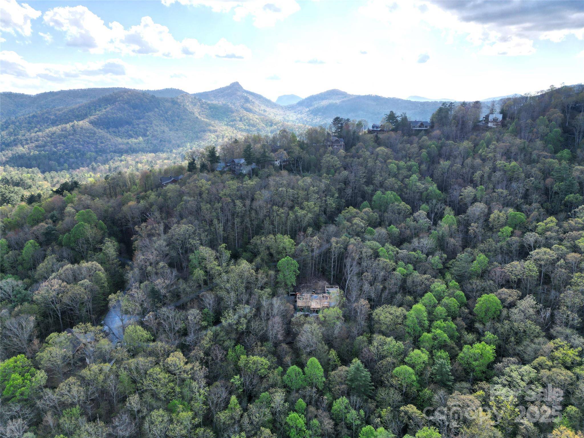 Sapphire, NC 28774,297 Easy Springs RD