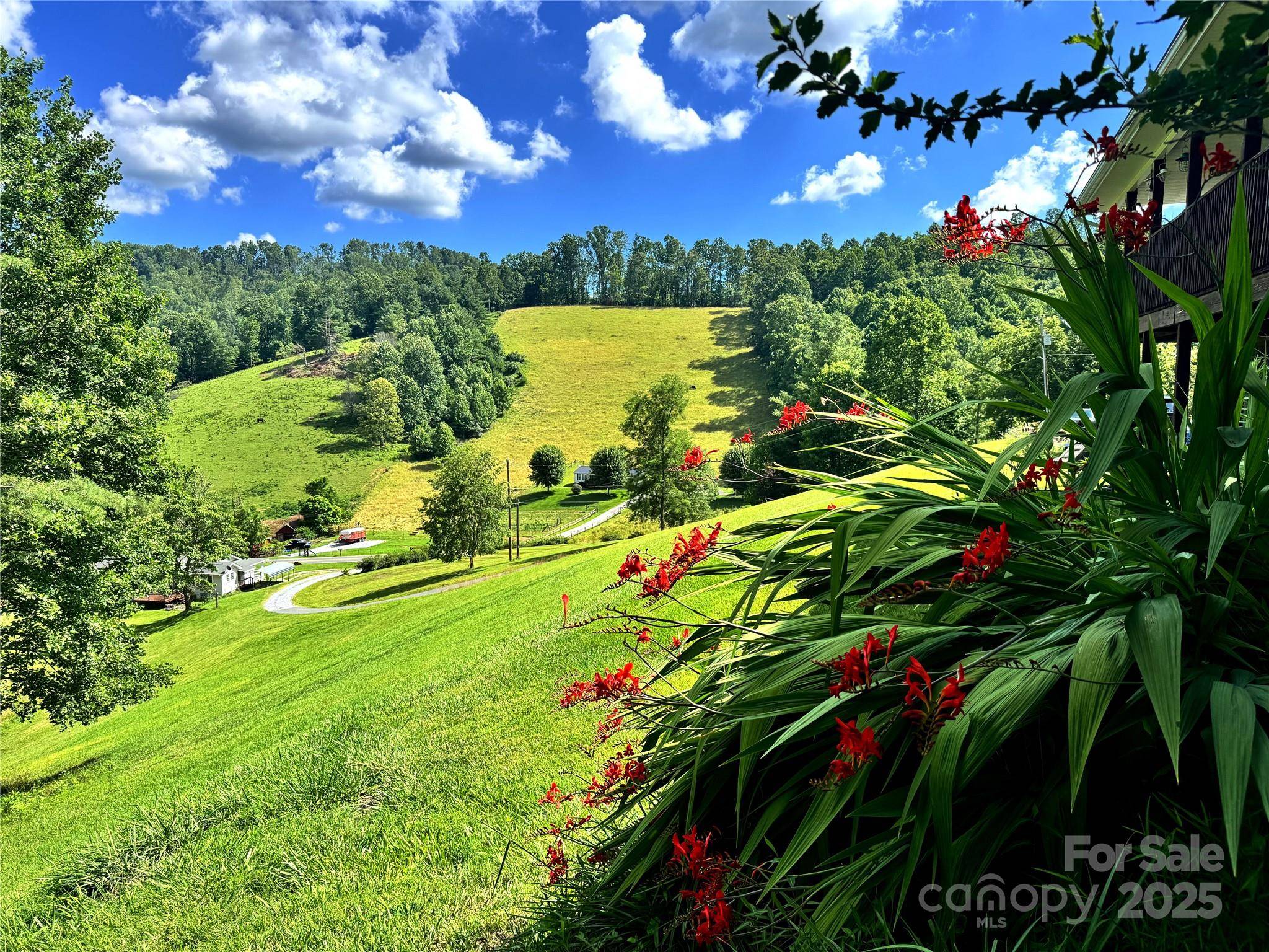 Burnsville, NC 28714,1586 Arbuckle RD