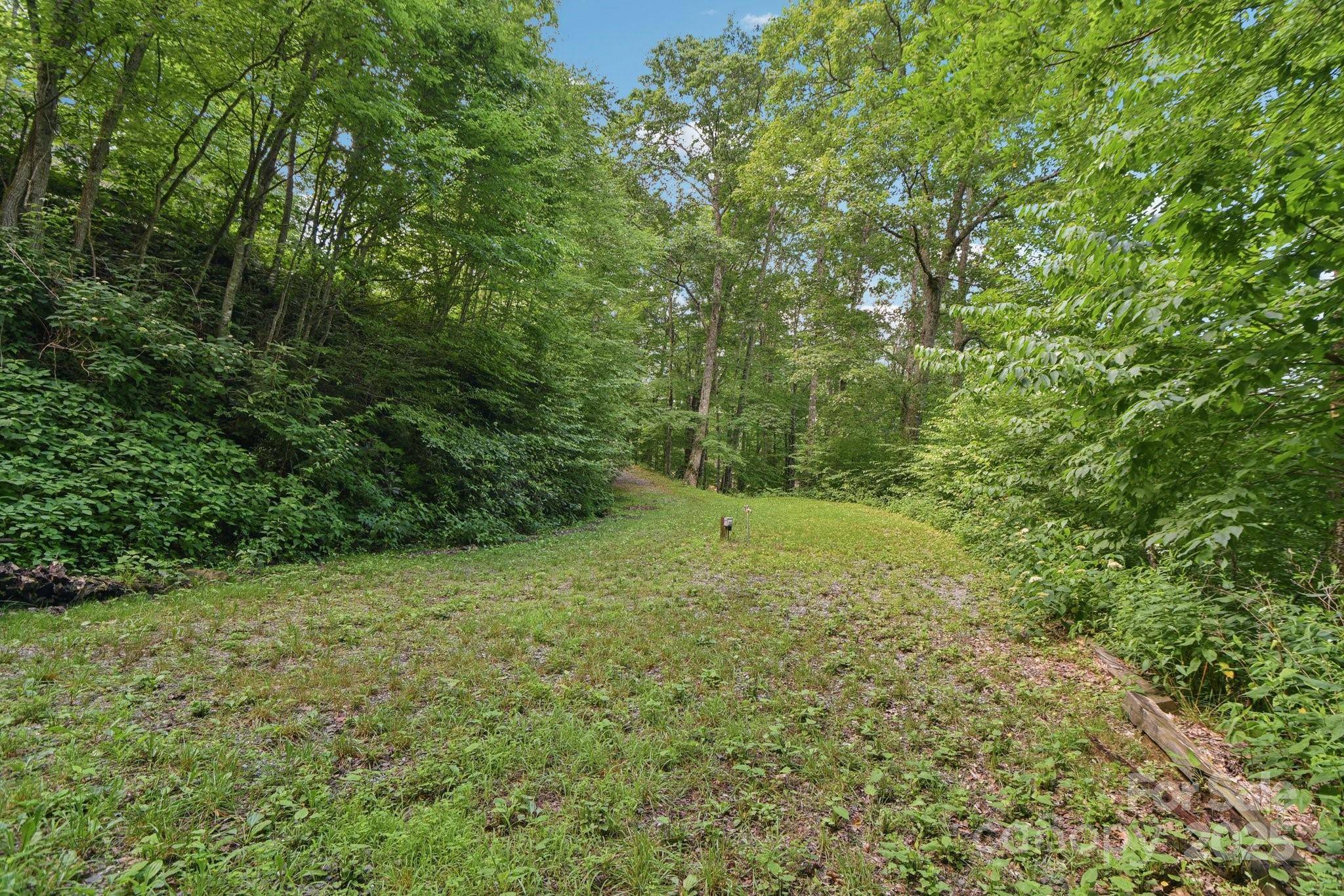 Maggie Valley, NC 28751,0000 Plott Balsam RD