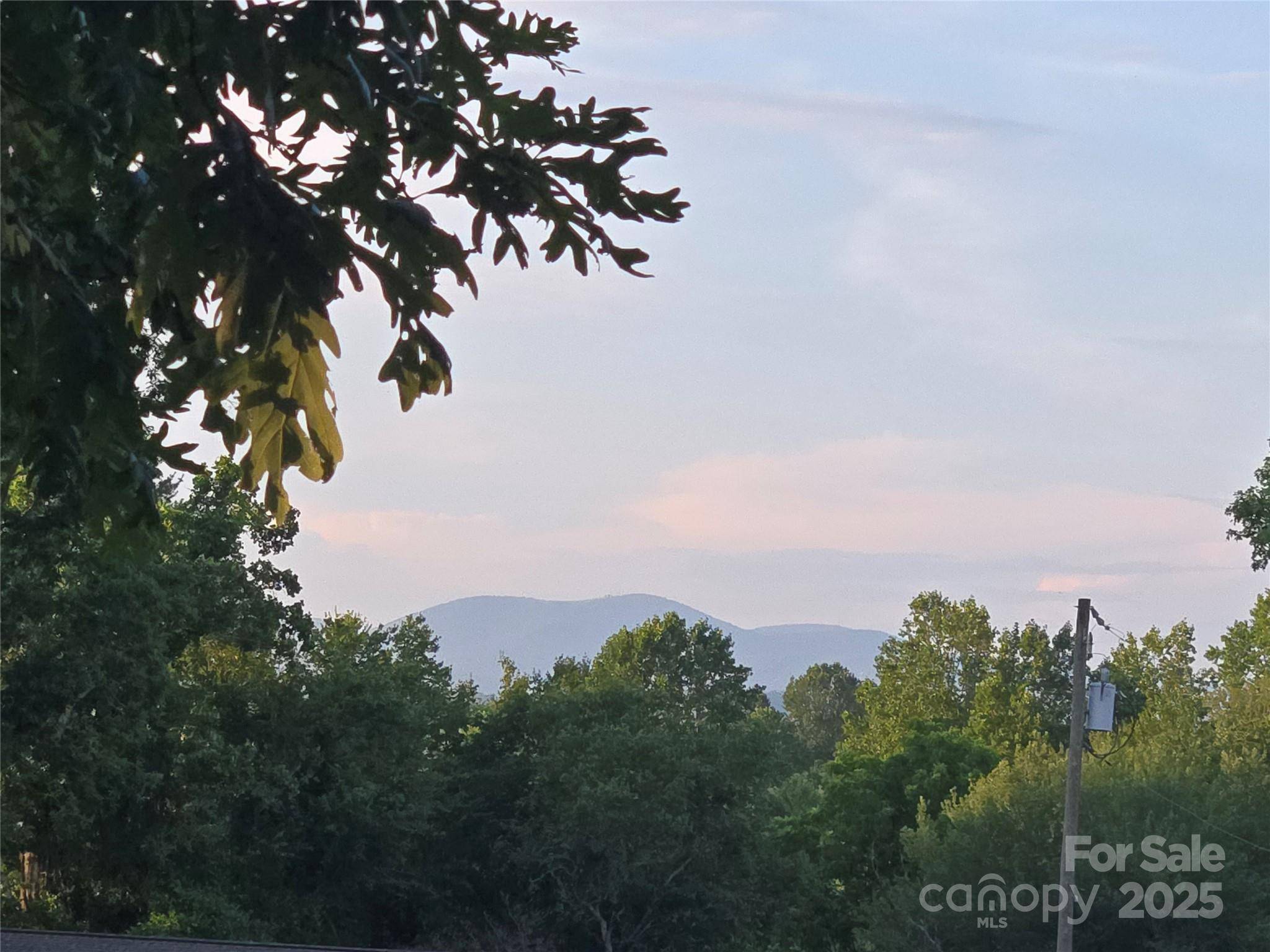 East Flat Rock, NC 28726,310 E Walker Street EXT