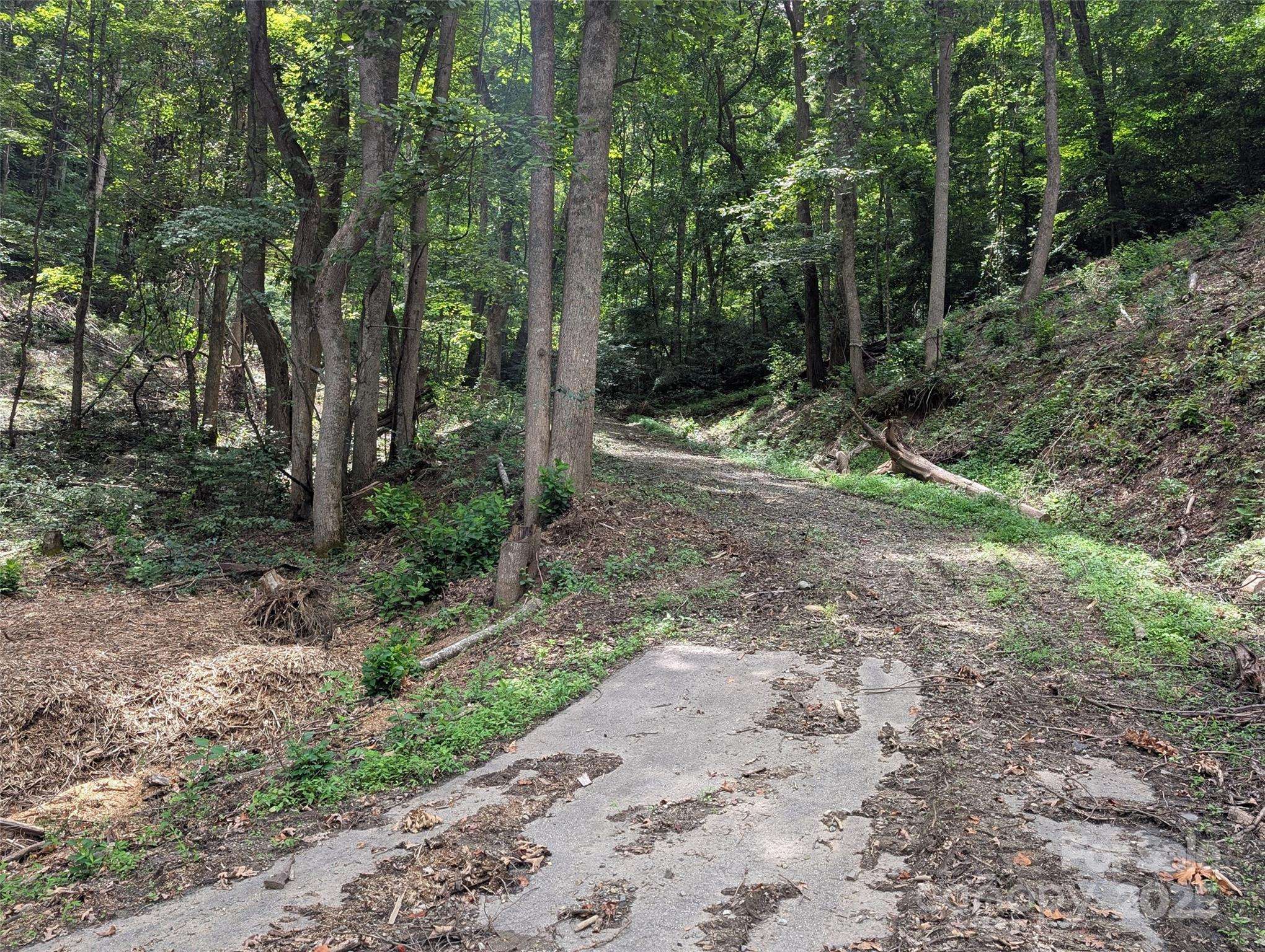 Mars Hill, NC 28754,99999 Running Deer LN #72