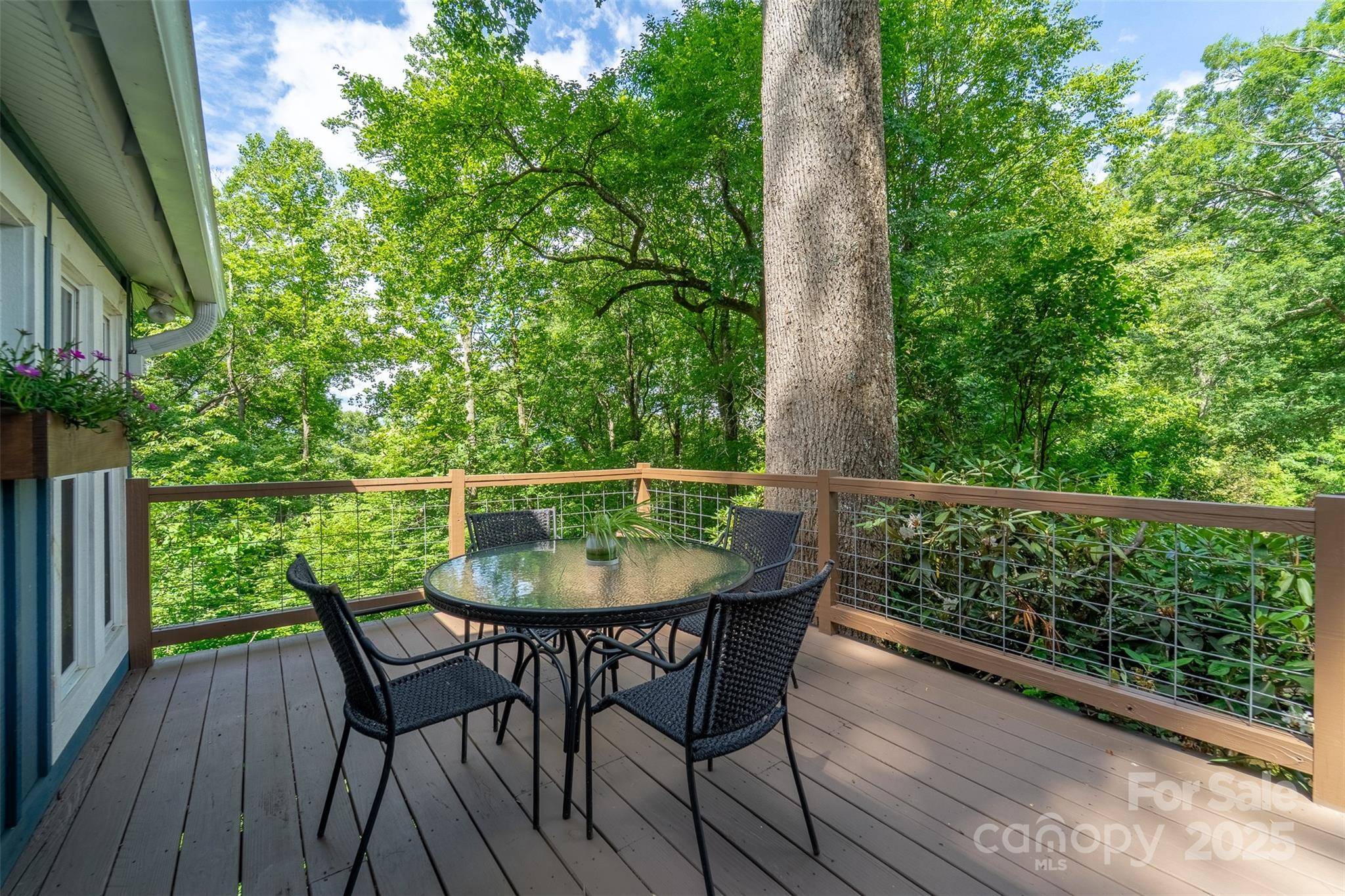 Sylva, NC 28779,590 Claude Cook RD