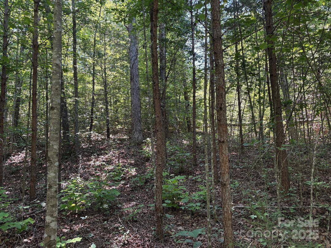 Marion, NC 28752,Lot 13 Wildflower WAY