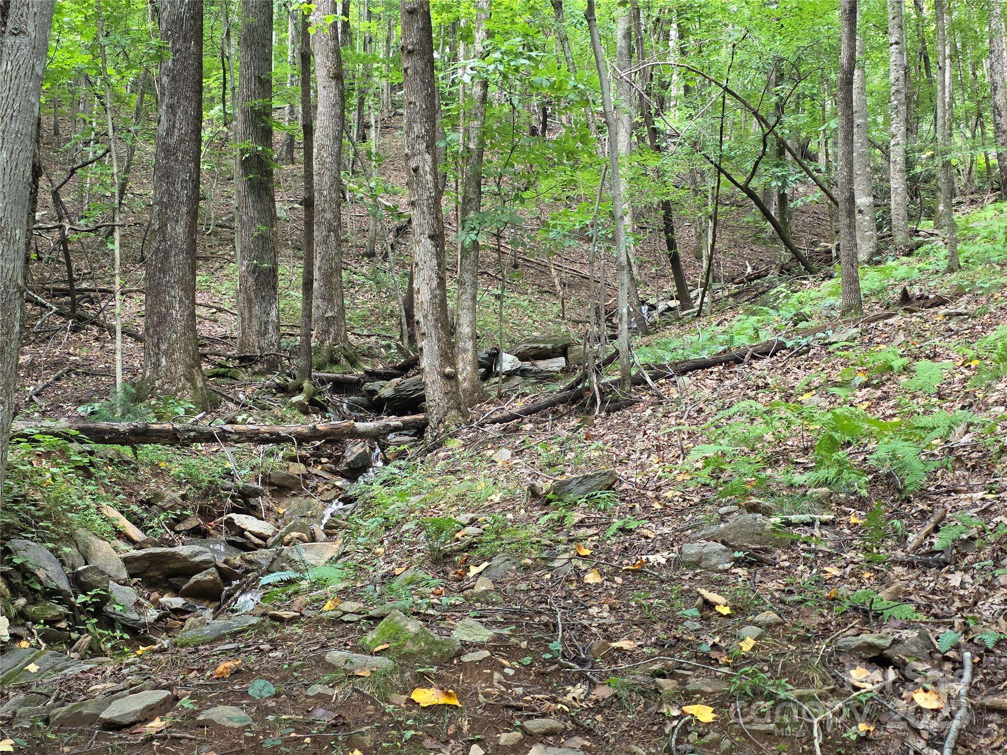 Mills River, NC 28759,217 High Vista RD