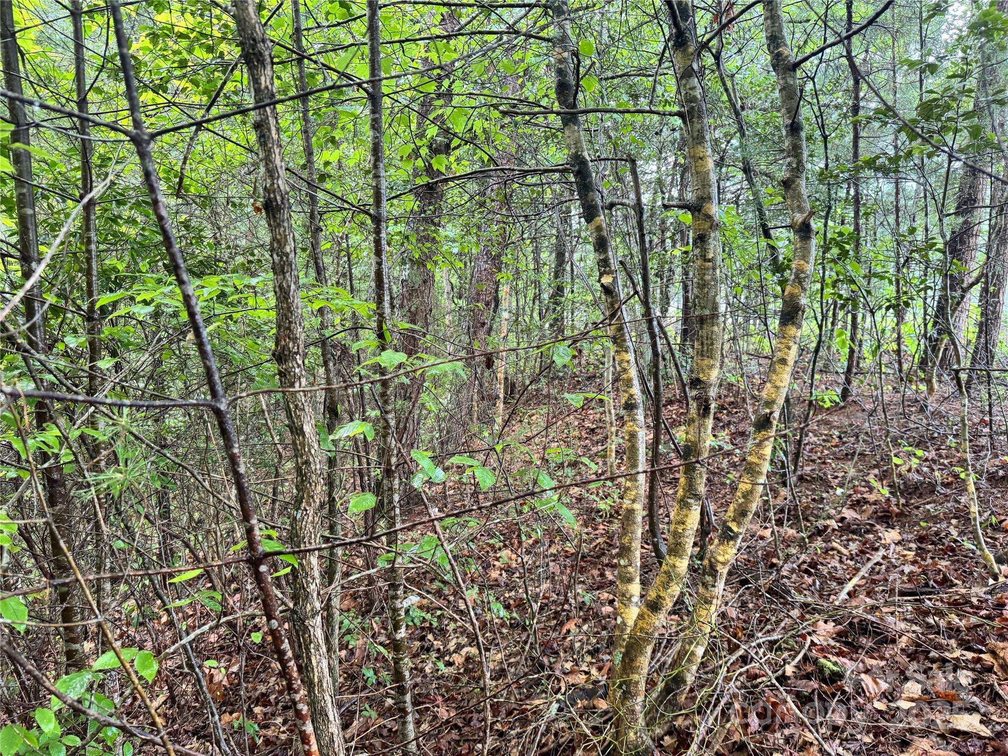 Morganton, NC 28655,3666 Grandview DR #23
