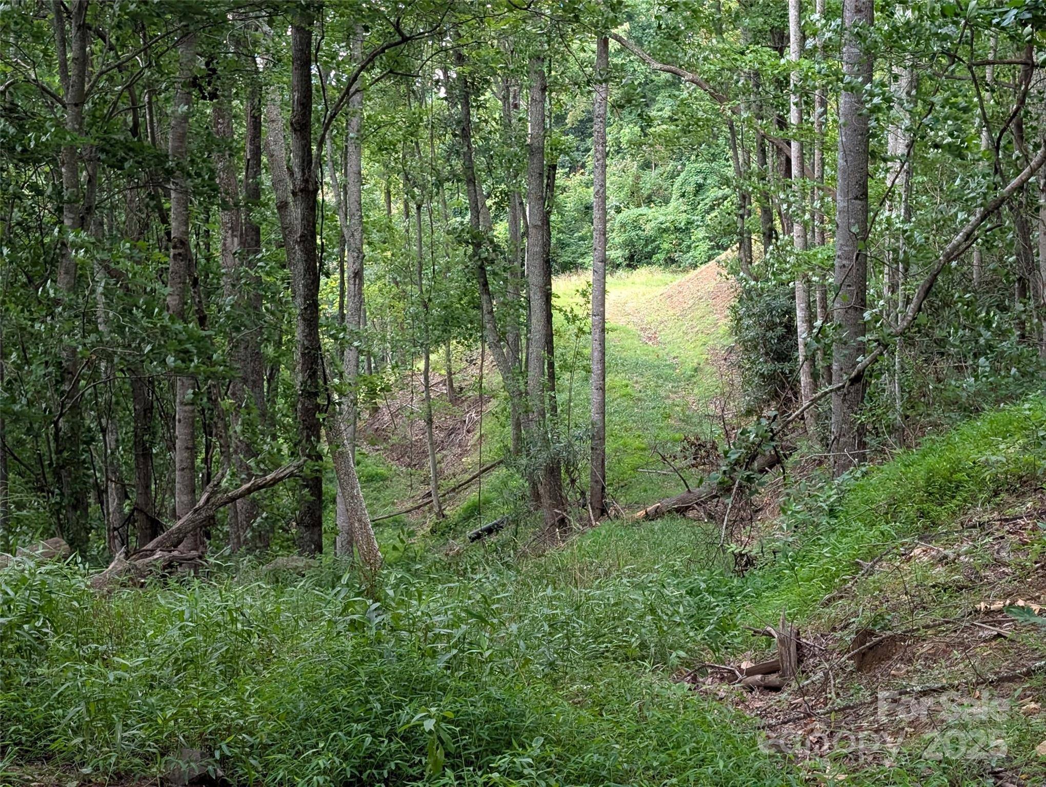 Mars Hill, NC 28754,99999 Running Deer LN #25
