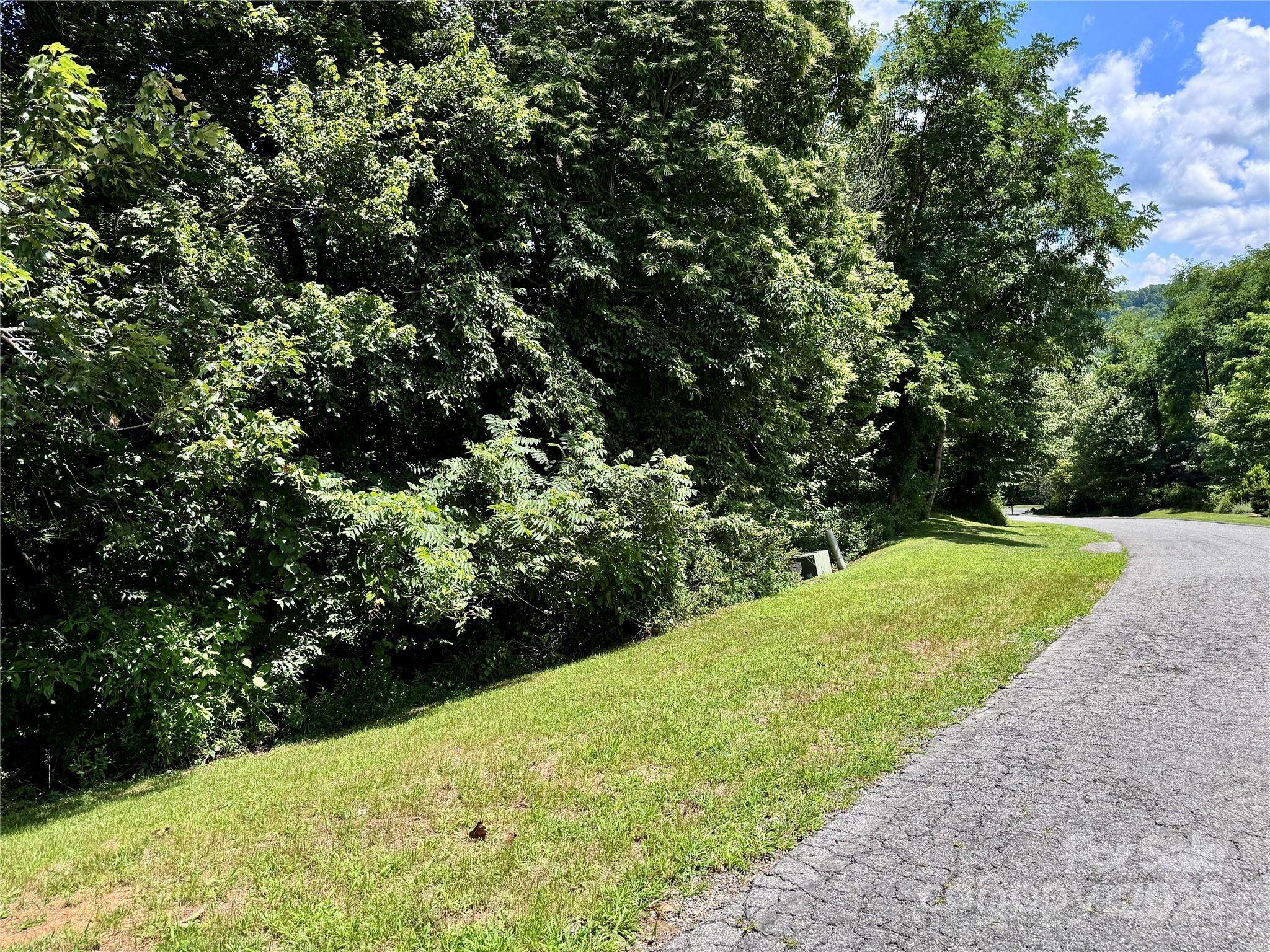 Hendersonville, NC 28739,35 Ladys Fern TRL