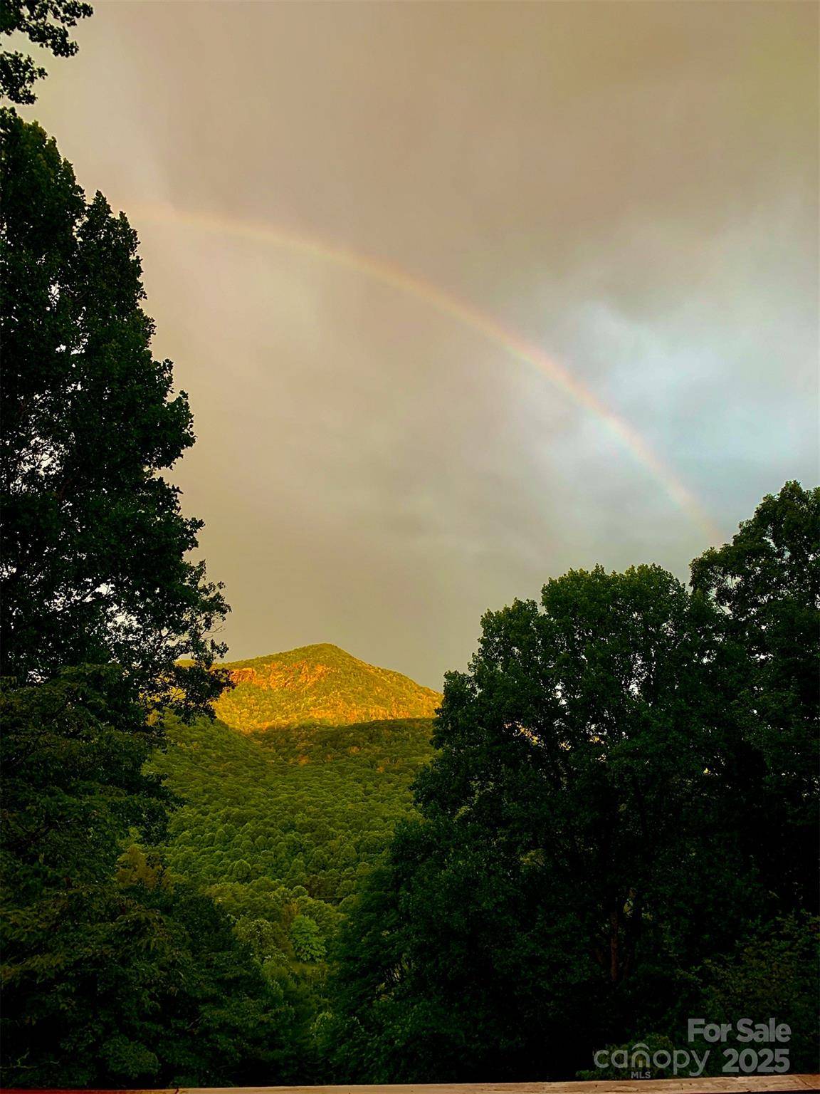 West Jefferson, NC 28694,2636 Buck Mountain RD