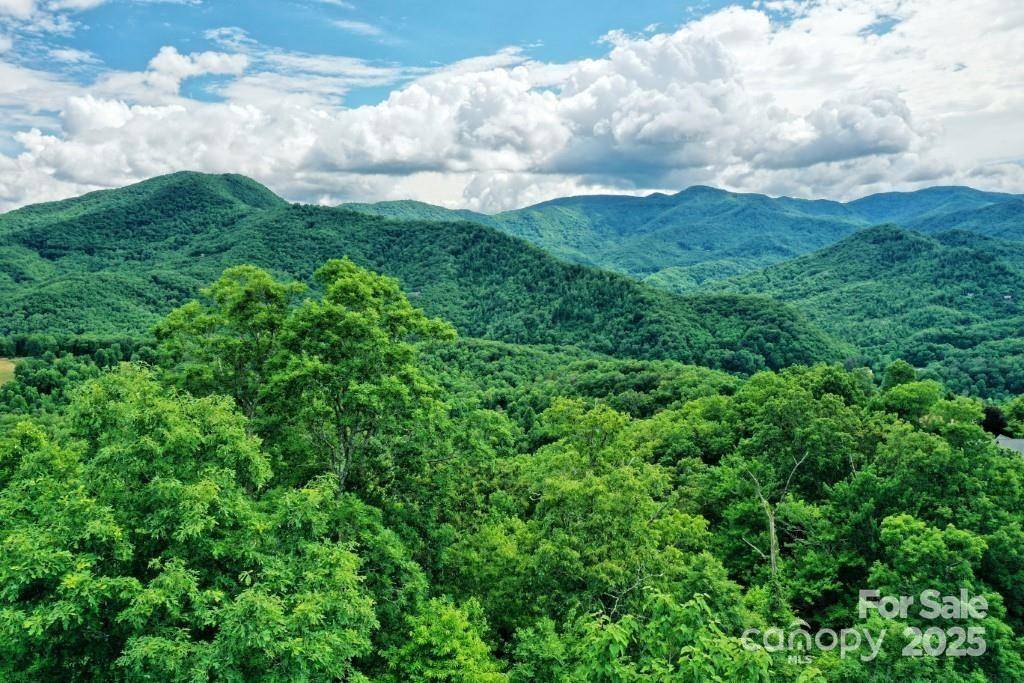 Whittier, NC 28789,478 Echo RDG