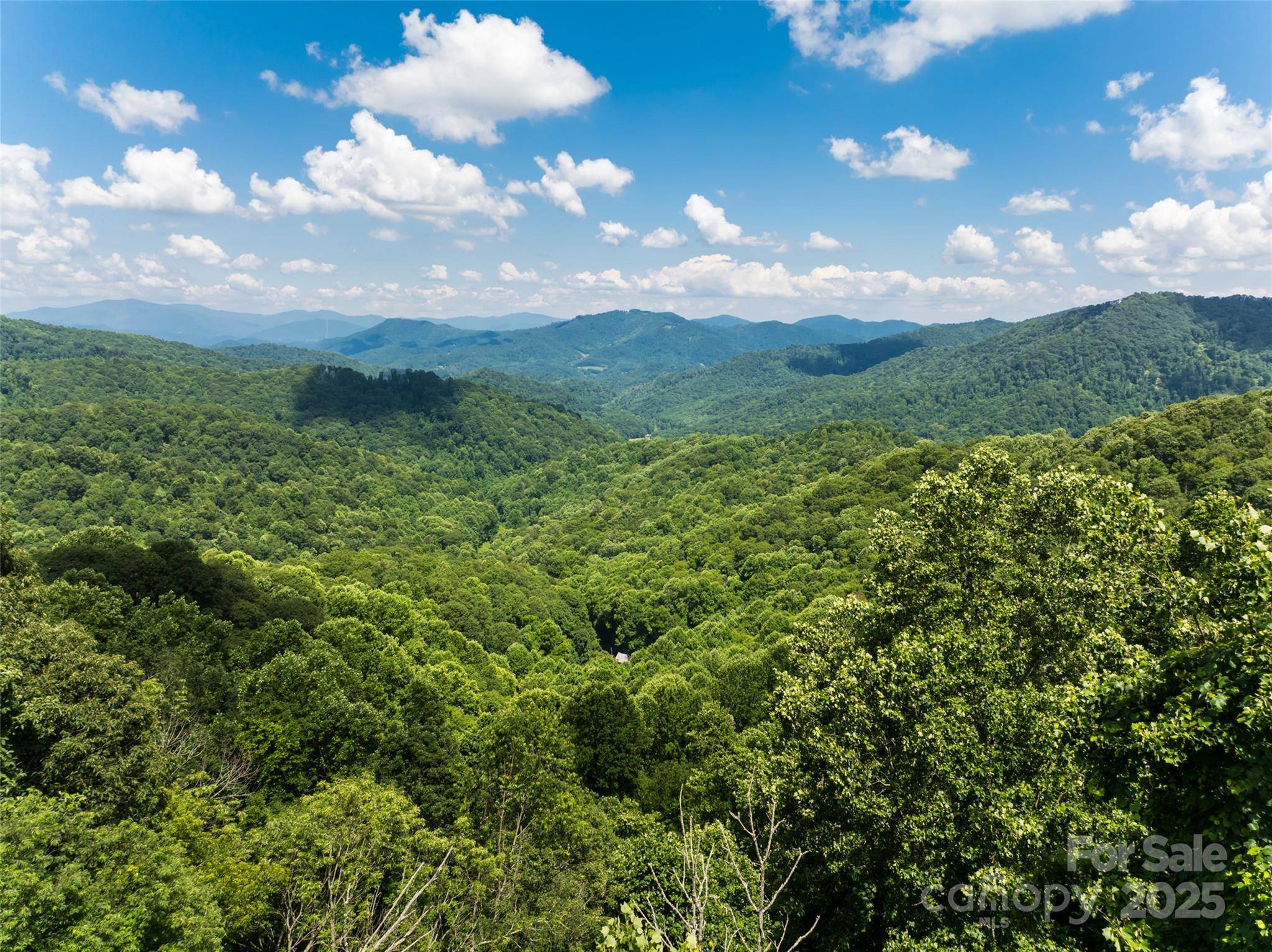 Burnsville, NC 28714,141 Locust Ramp DR