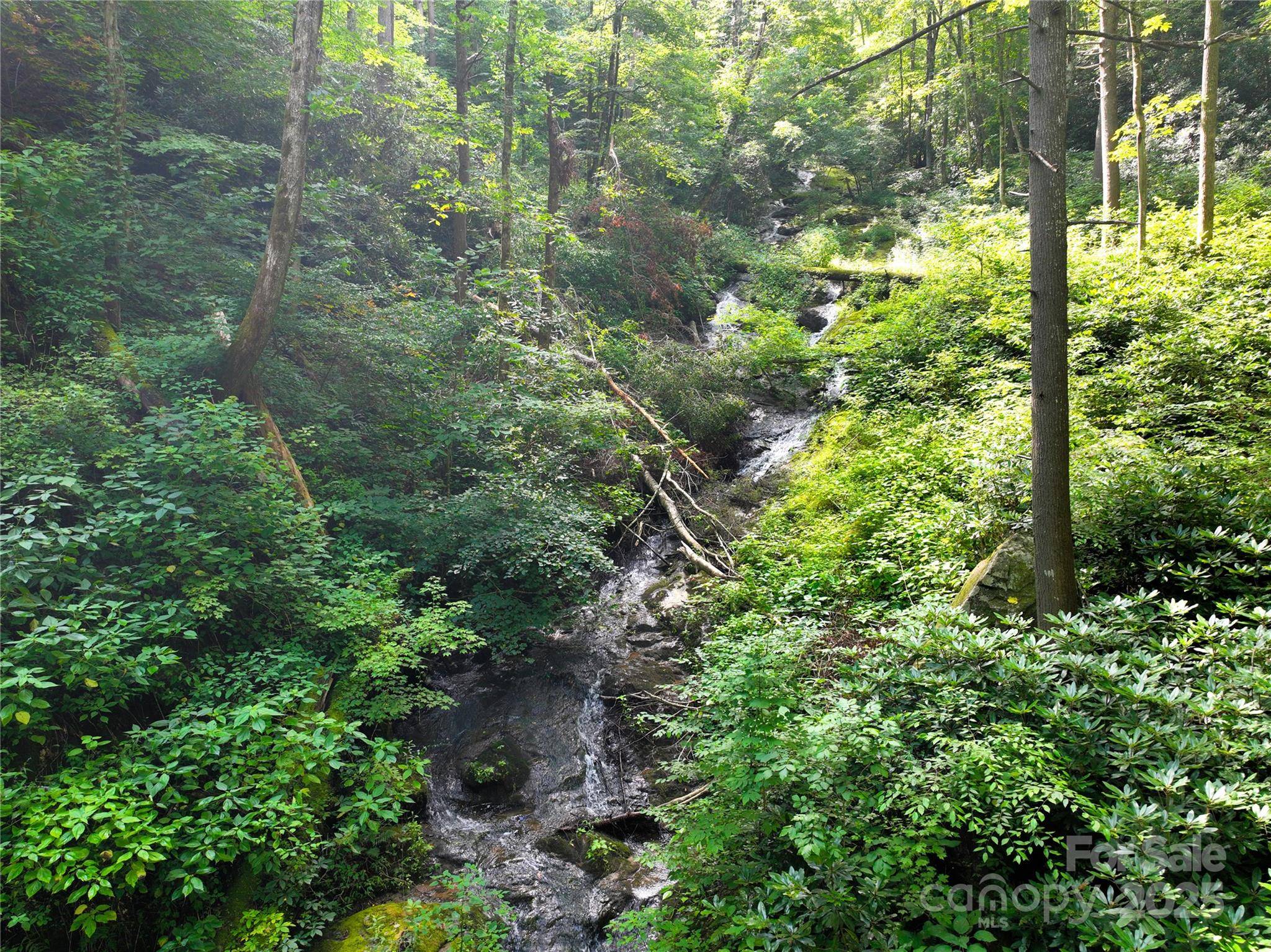 Marshall, NC 28753,3617 Lonesome Mountain RD