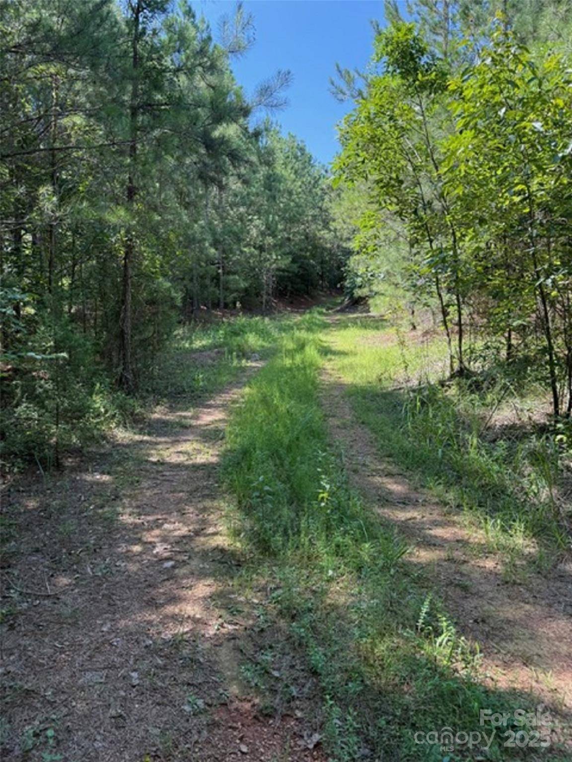 Lilesville, NC 28091,00 Daisy RD