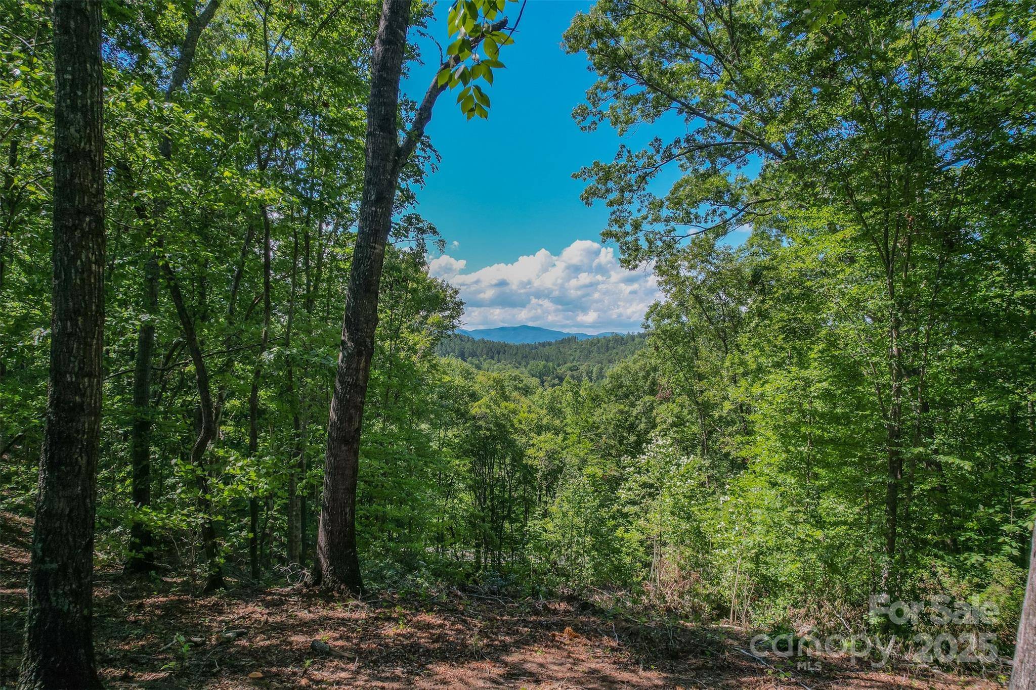 Mill Spring, NC 28756,Lot 6 S Cross Creek TRL