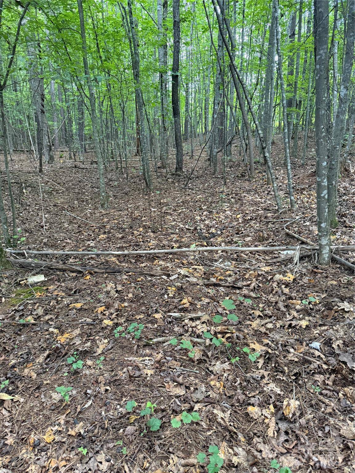 Morganton, NC 28655,3994 Seitz RD