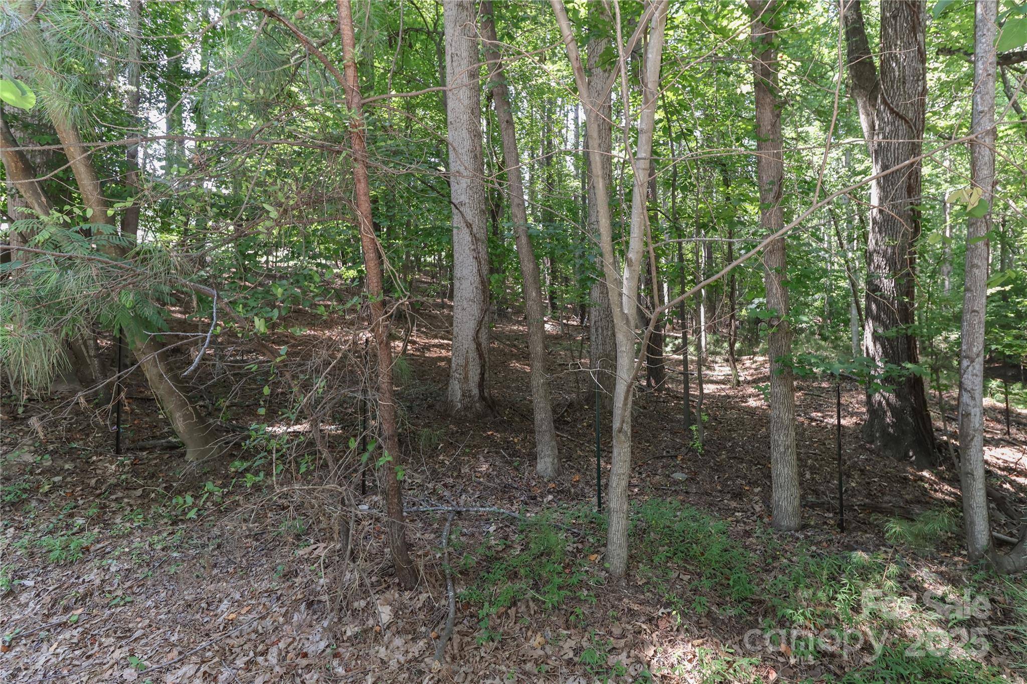 Mooresville, NC 28117,372 Kenway LOOP