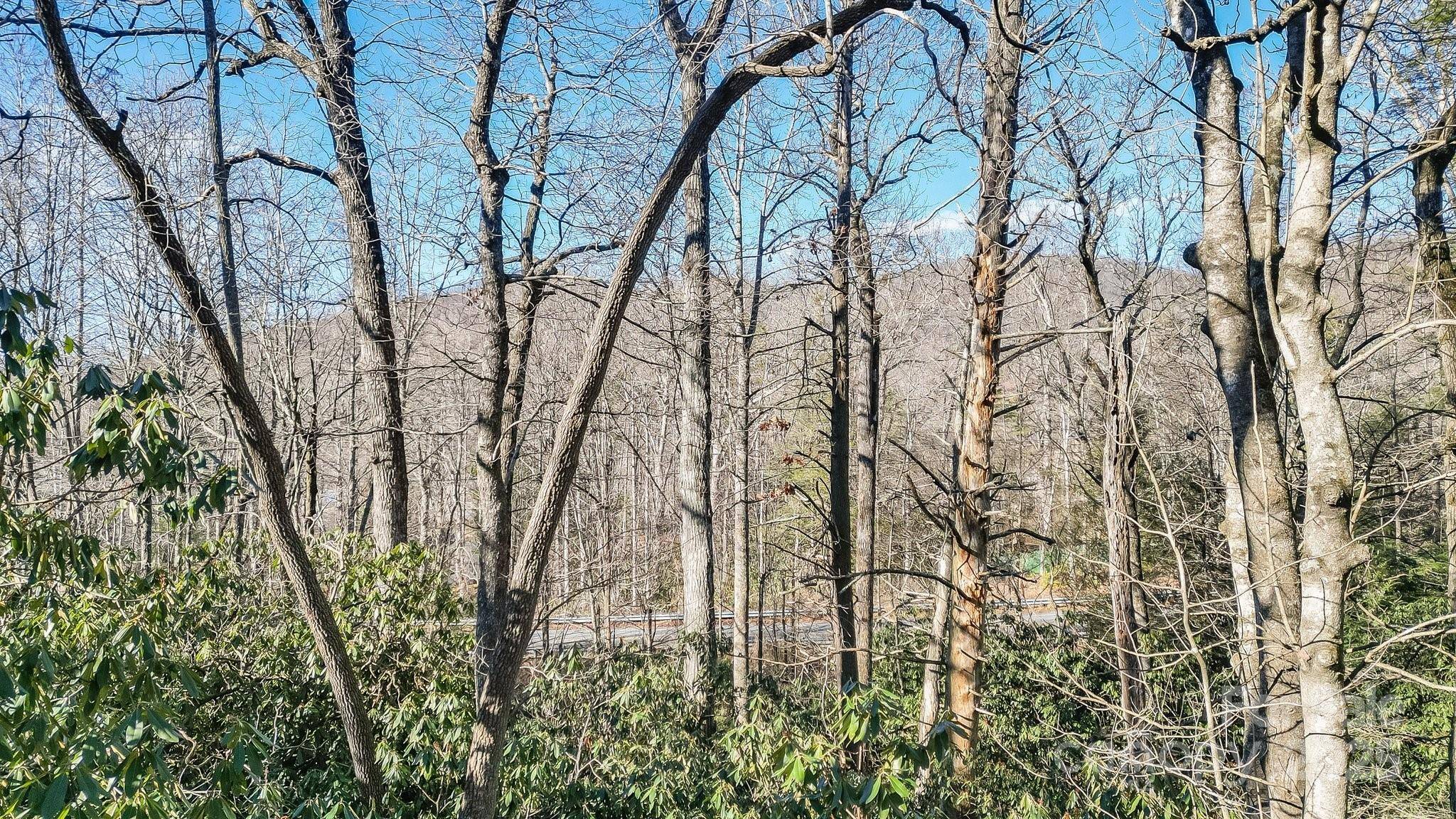 Black Mountain, NC 28711,9999 Yates AVE #PT A