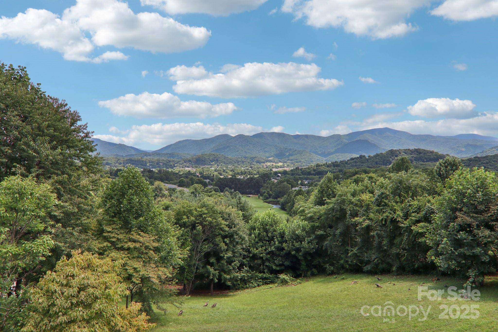 Waynesville, NC 28786,149 Cardinal LN