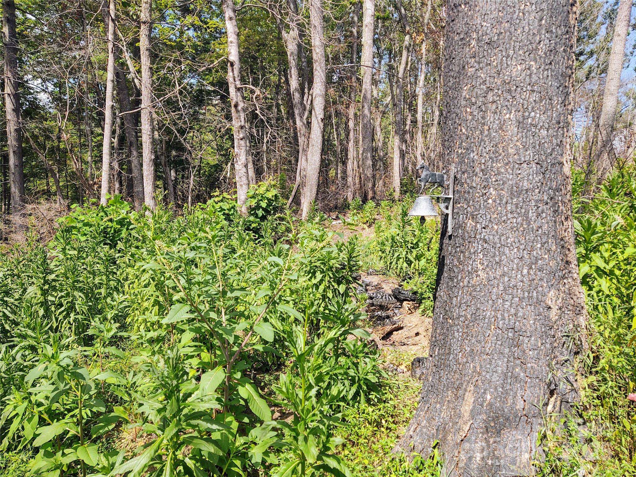 Flat Rock, NC 28731,736 English Heifer Cove RD