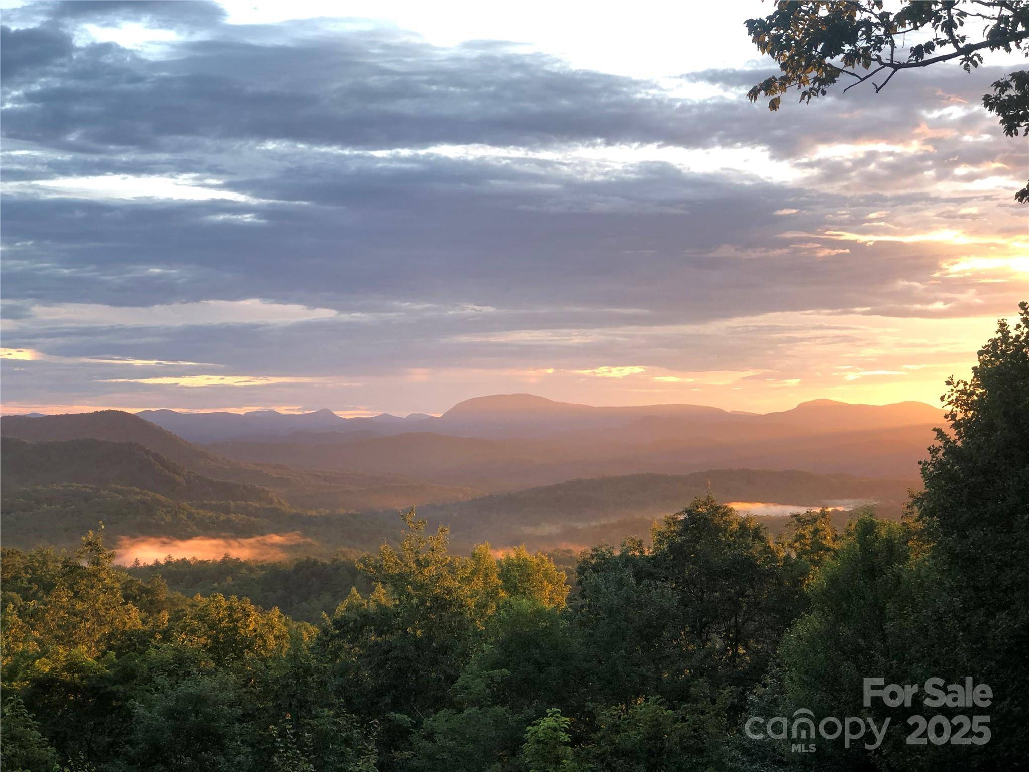 Brevard, NC 28712,221 Ohwanteska LN