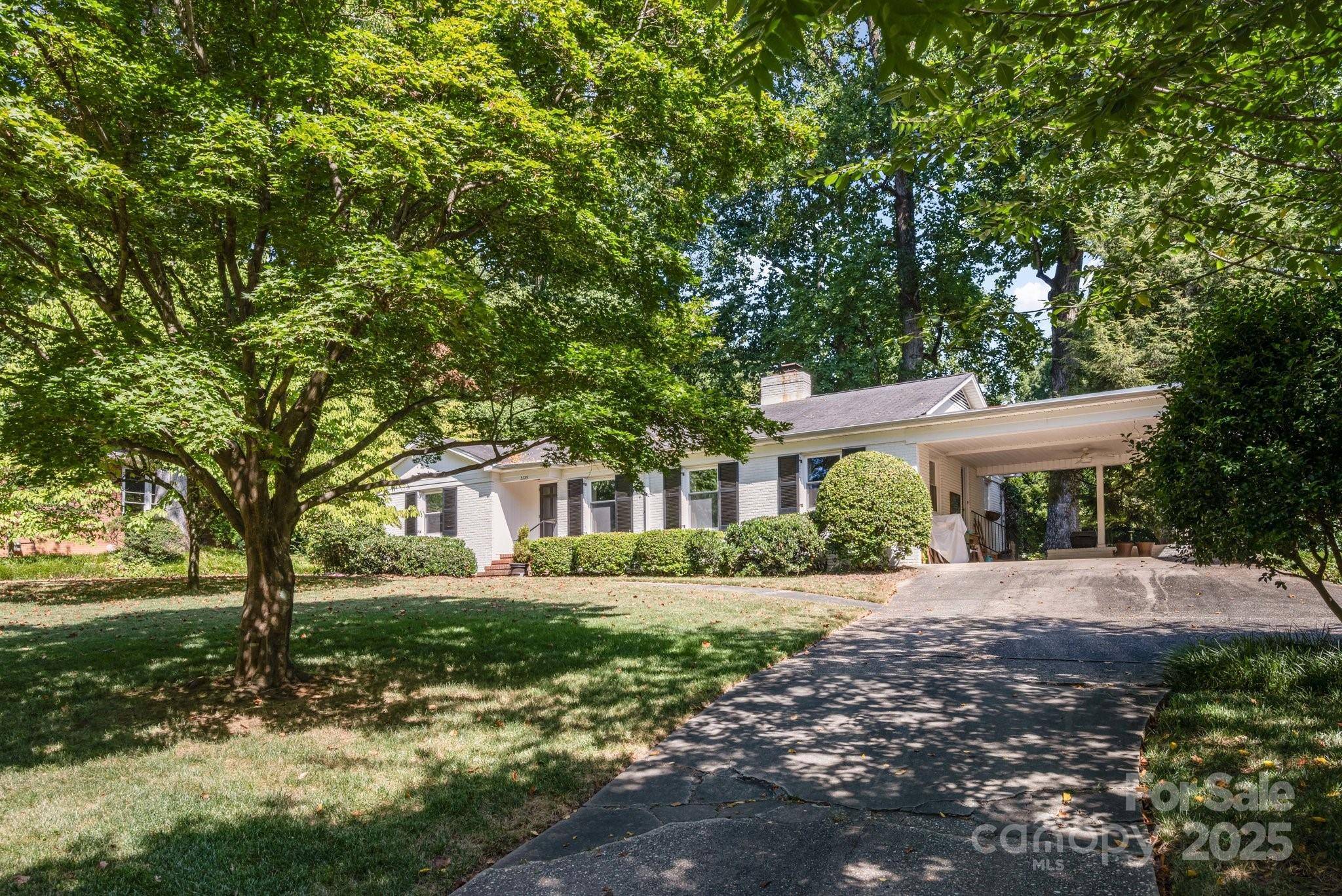 Charlotte, NC 28205,3125 Loma LN