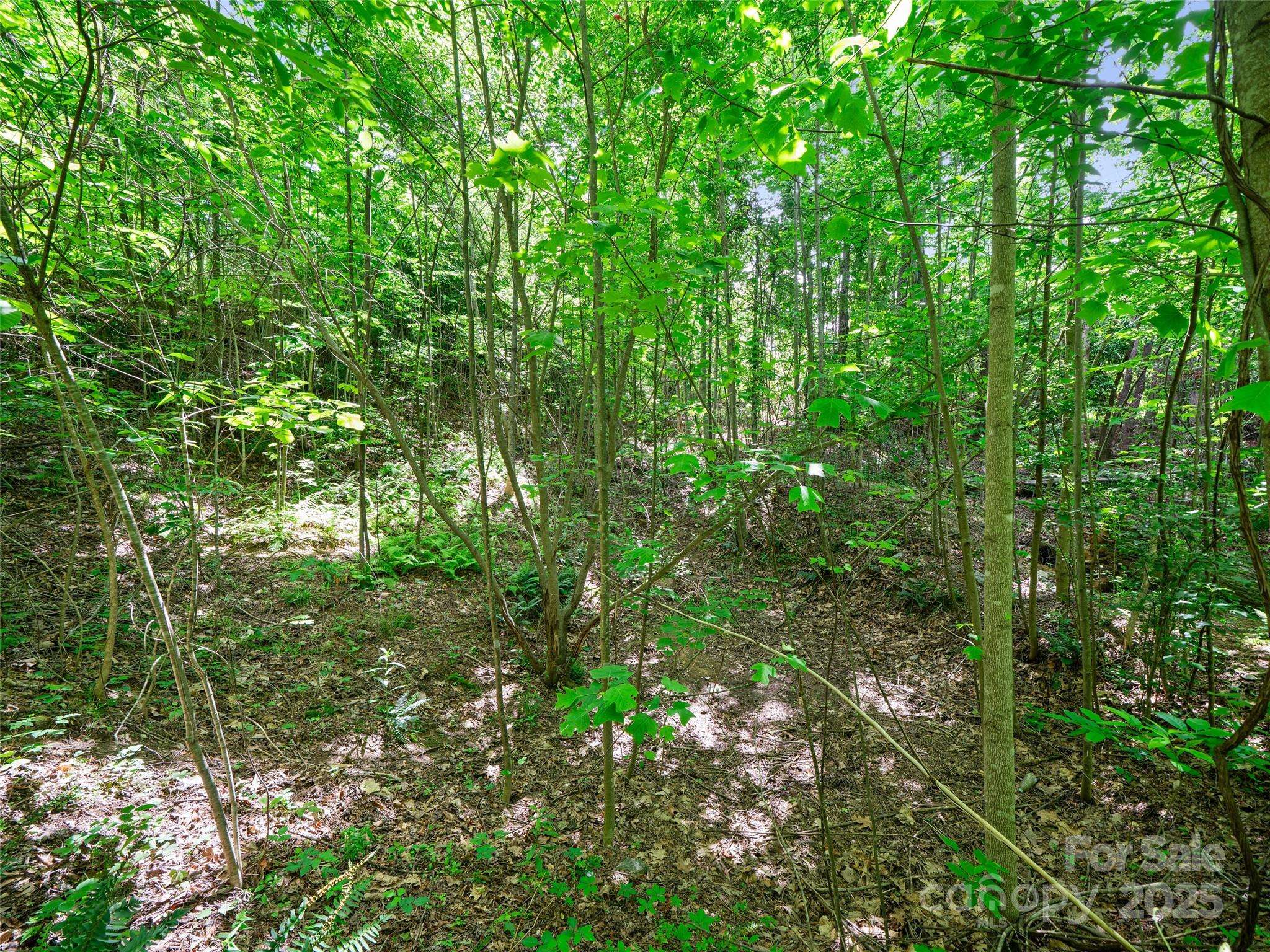 Hendersonville, NC 28791,99999 Millbrae LOOP N