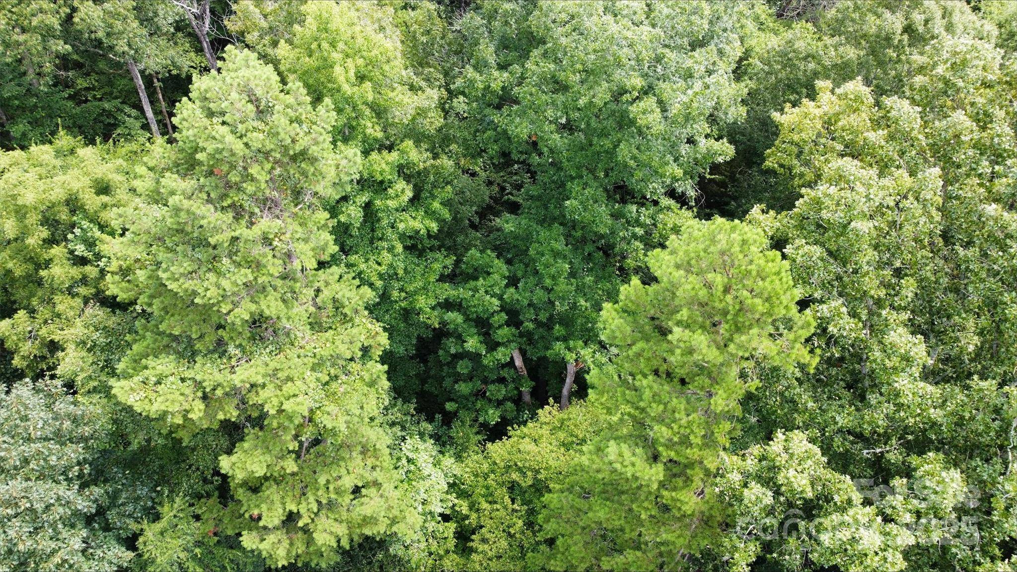 Concord, NC 28025,8975 Lazy Ridge LN