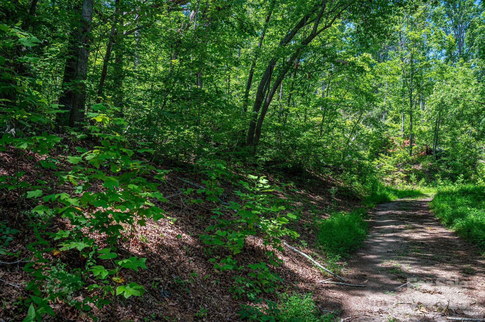 Rutherfordton, NC 28139,Lot 221 Plantation DR