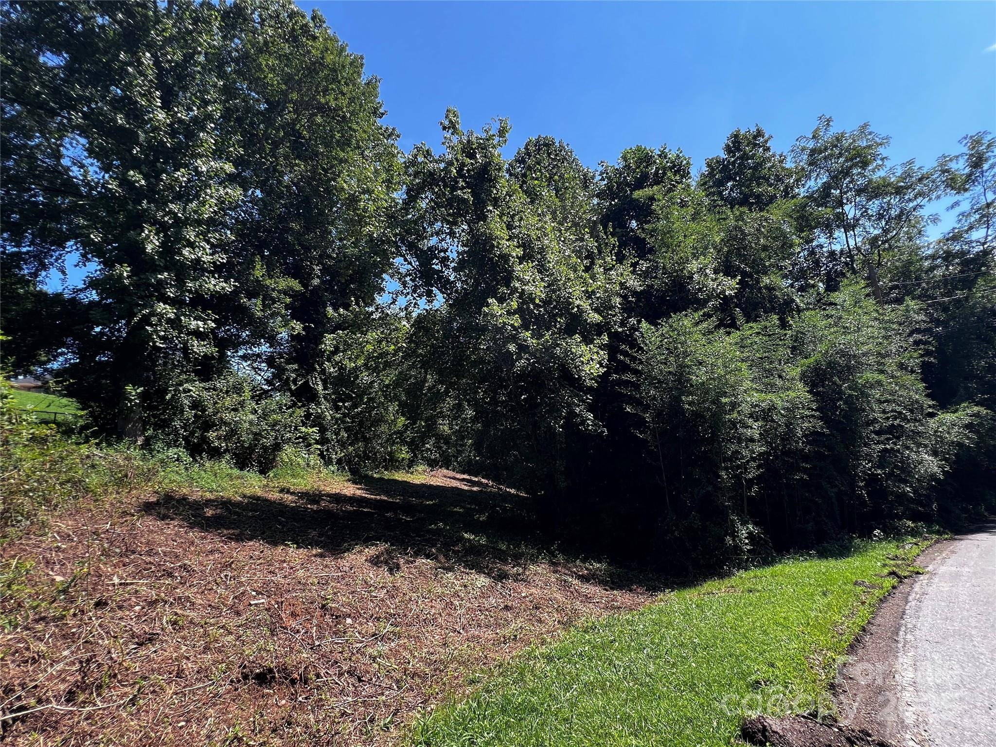 Arden, NC 28704,210 Ball Gap RD