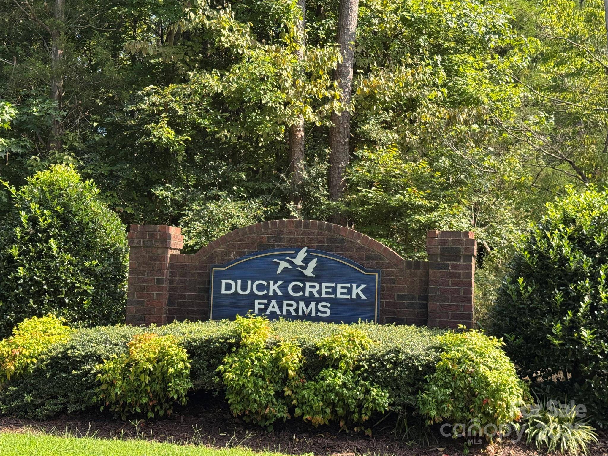 Indian Trail, NC 28079,Lot 10 Duck Creek Farms Duck Creek LN