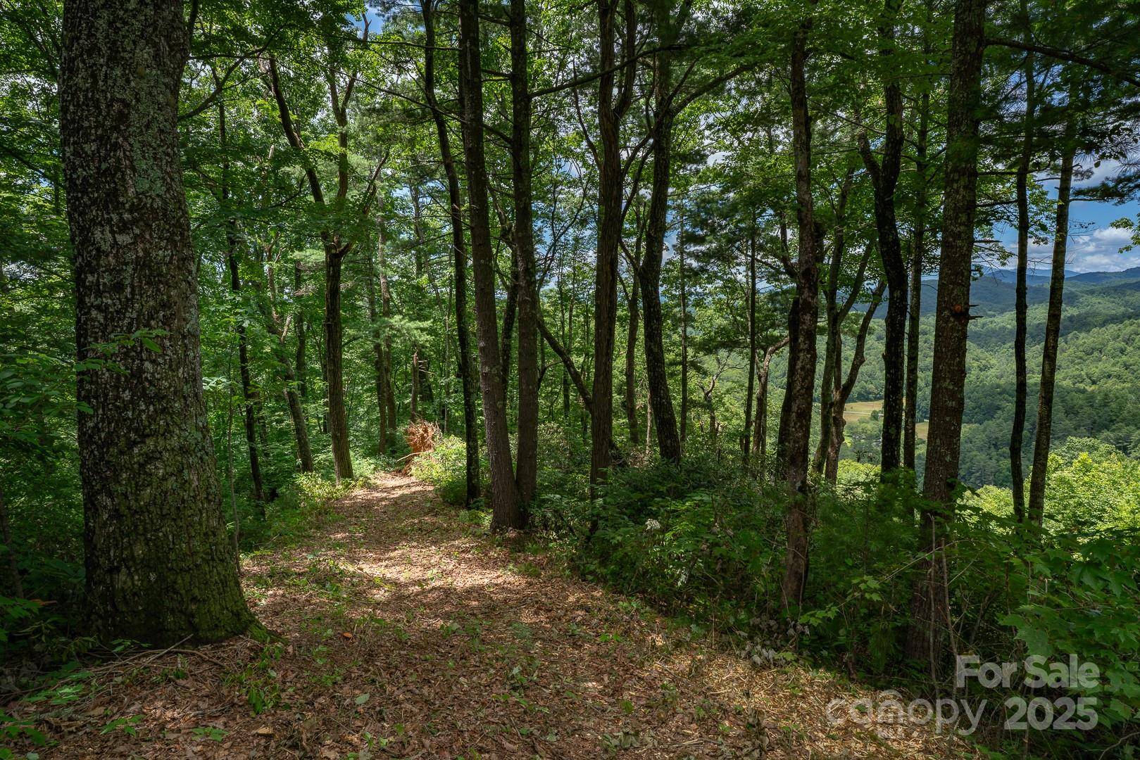 Lenoir, NC 28645,TBD Autumn Ridge DR