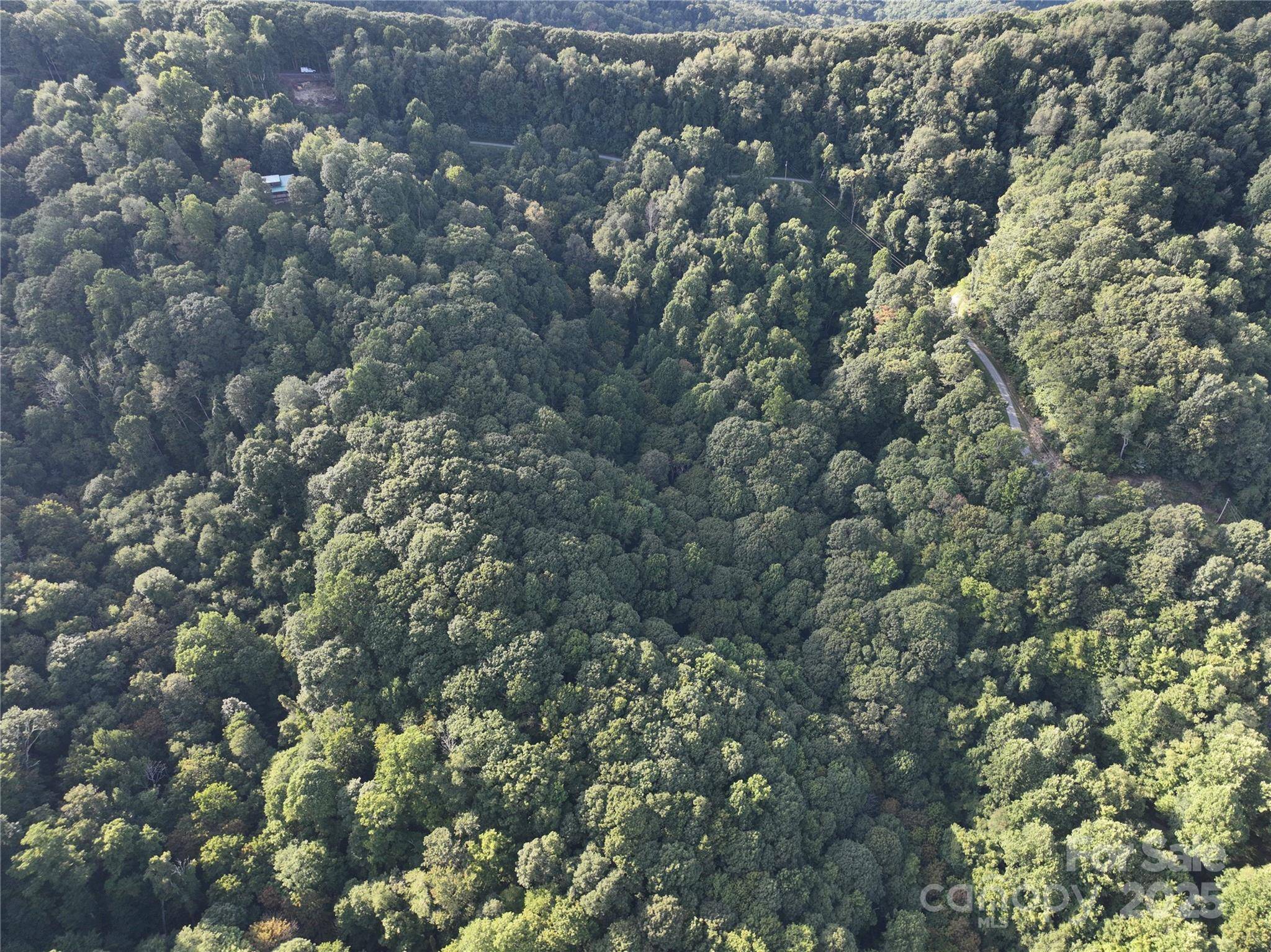 Hot Springs, NC 28743,00 Running Bear RD