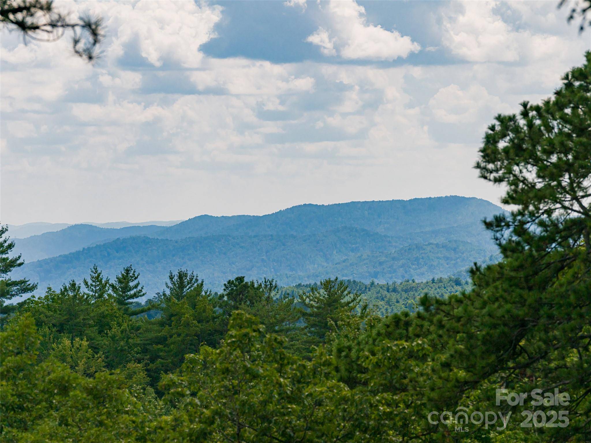 Brevard, NC 28712,340 West View RD