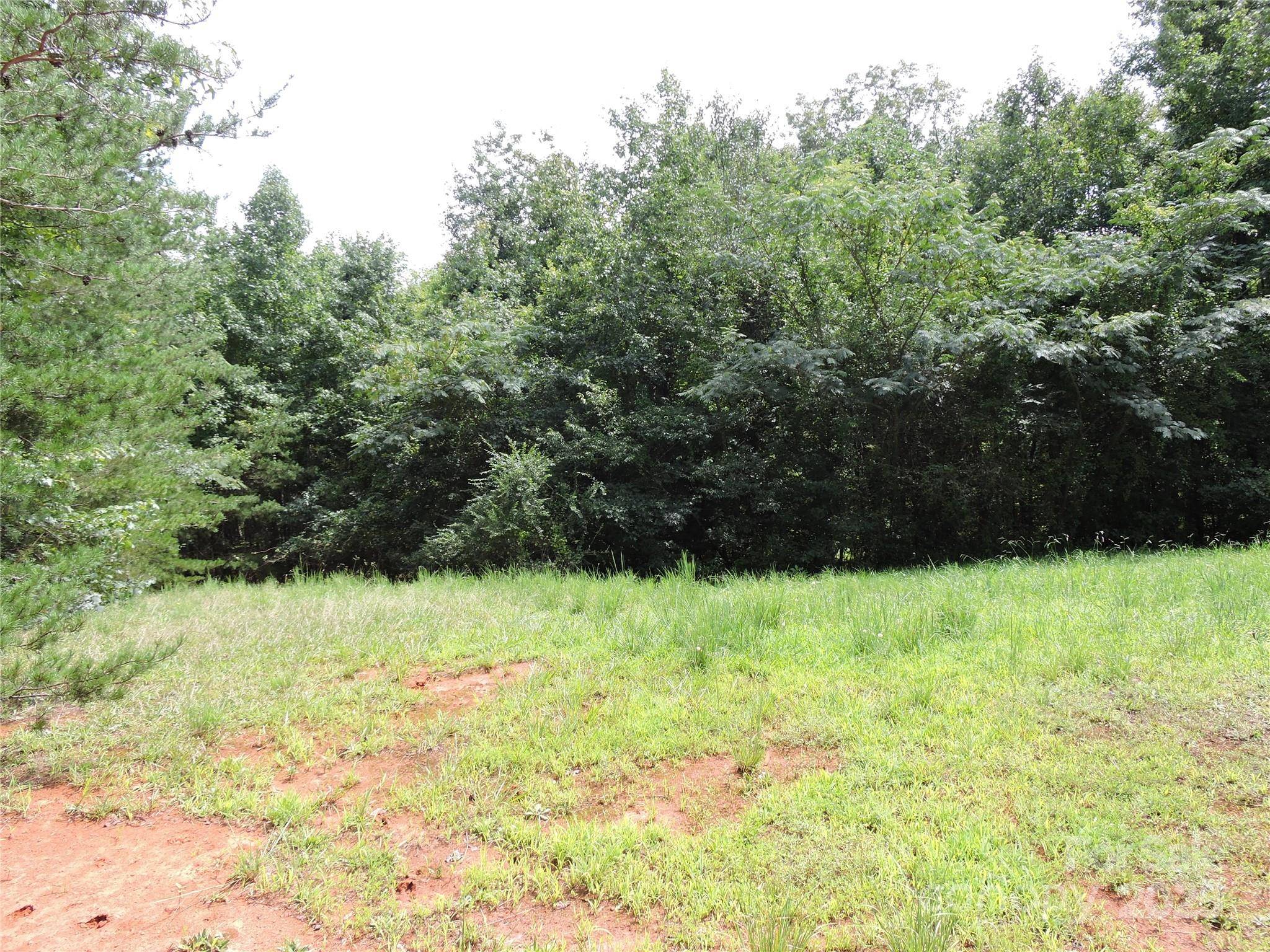 Columbus, NC 28722,2065 Skyuka RD